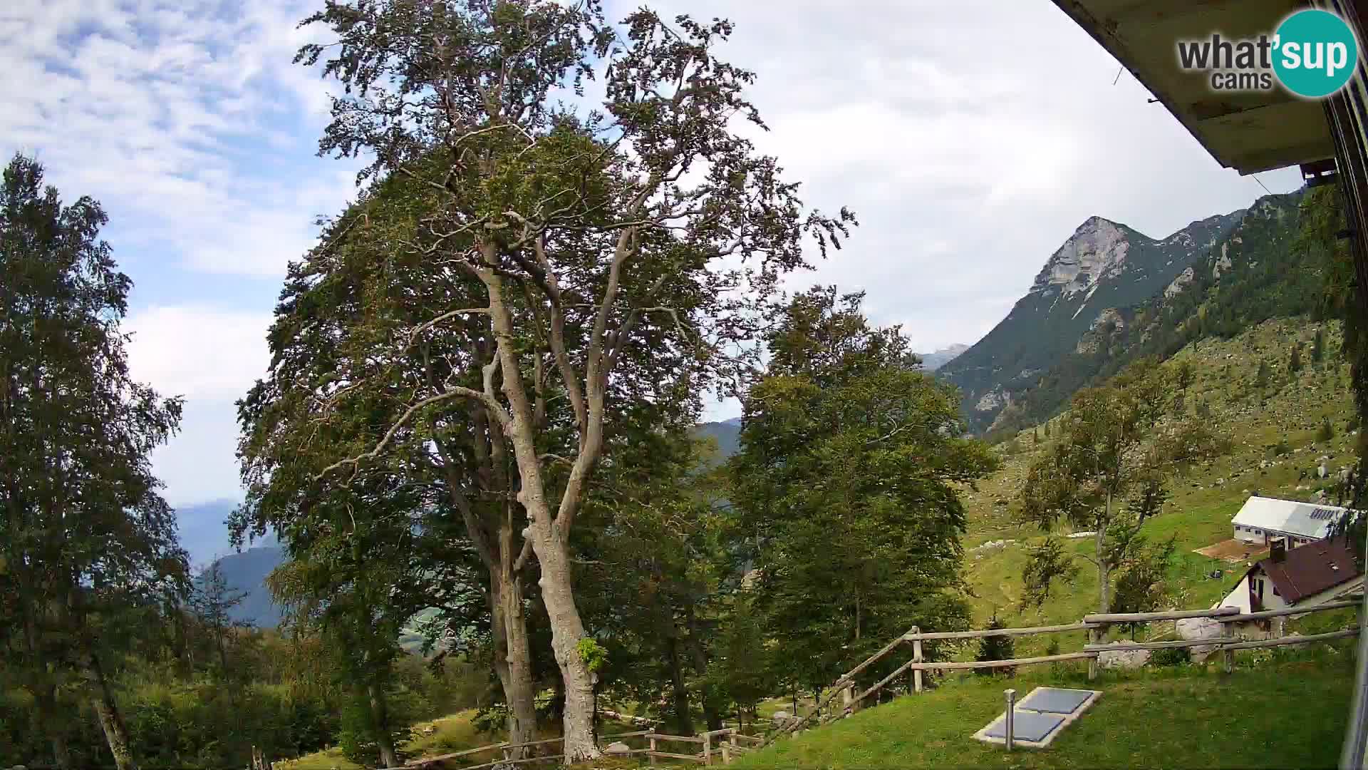 Refuge de la montagne Planina Razor caméra en direct (1315) | vue sur Tolminski Migovec