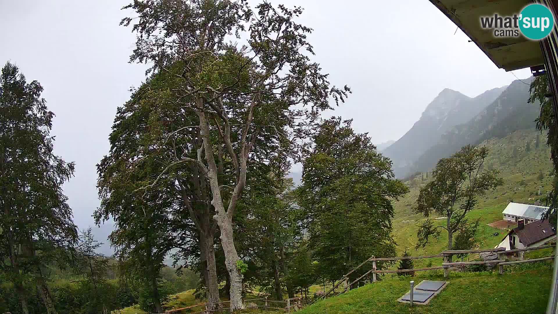 Planina Razor Mountain Hut live cam (1315) | view to Tolminski Migovec