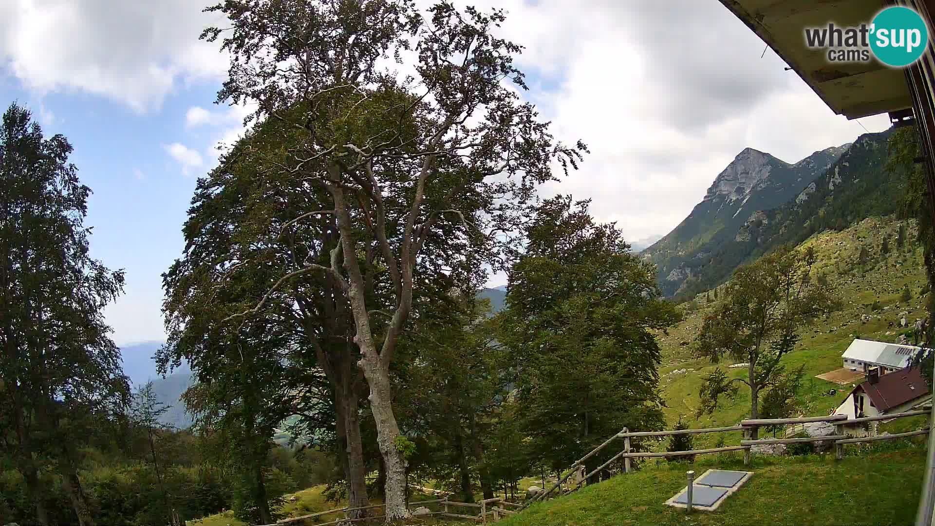Planina Razor Bergütte Webcam (1315) | Blick auf Tolminski Migovec