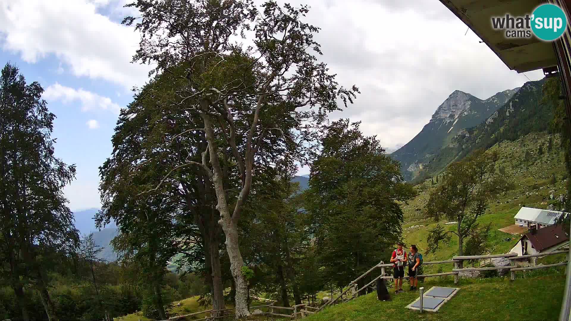 Baita di montagna Planina Razor webcam (1315) | vista su Tolminski Migovec