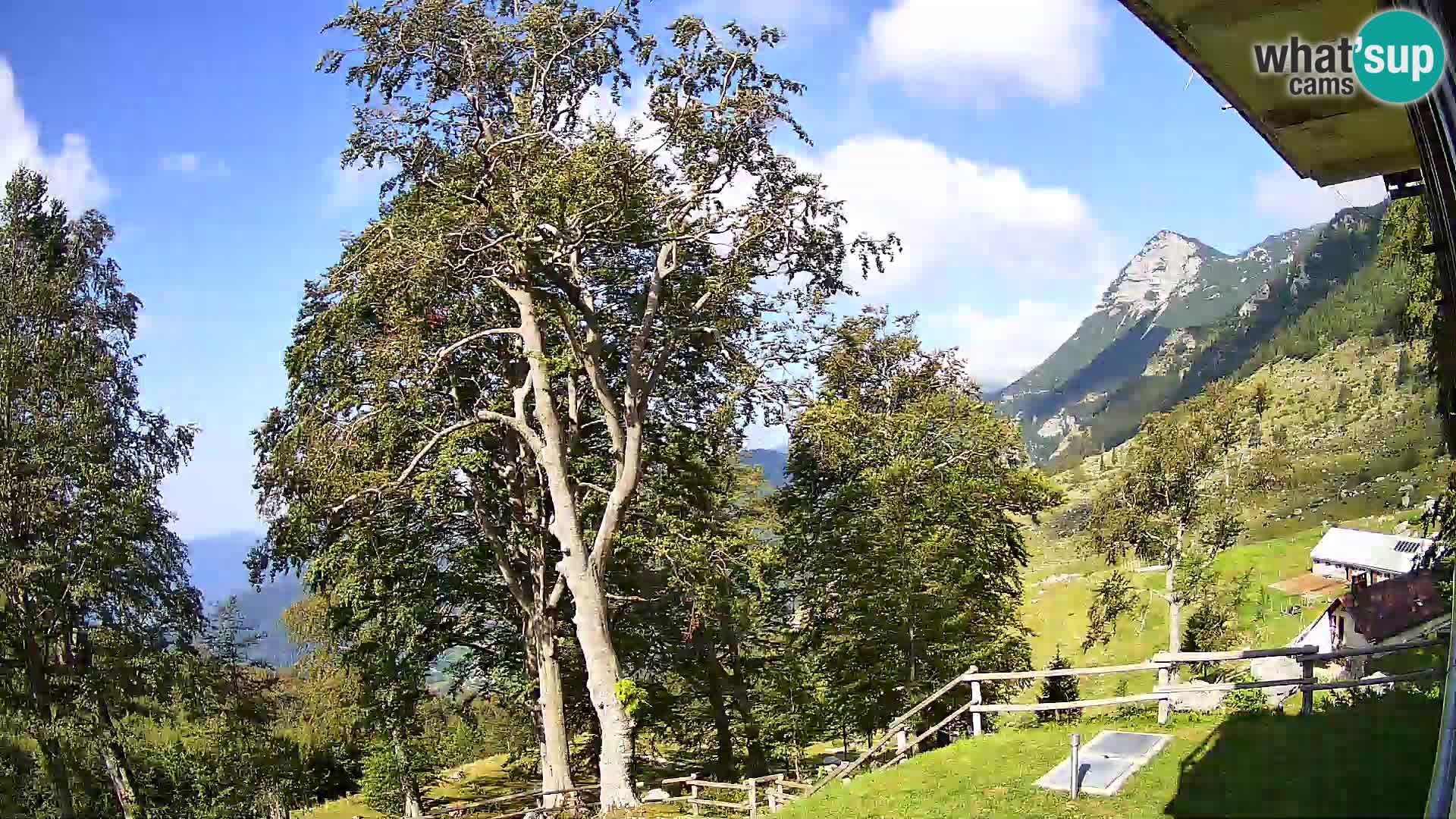 Cámara en vivo de la cabaña de montaña Planina Razor (1315) | vista hacia Tolminski Migovec
