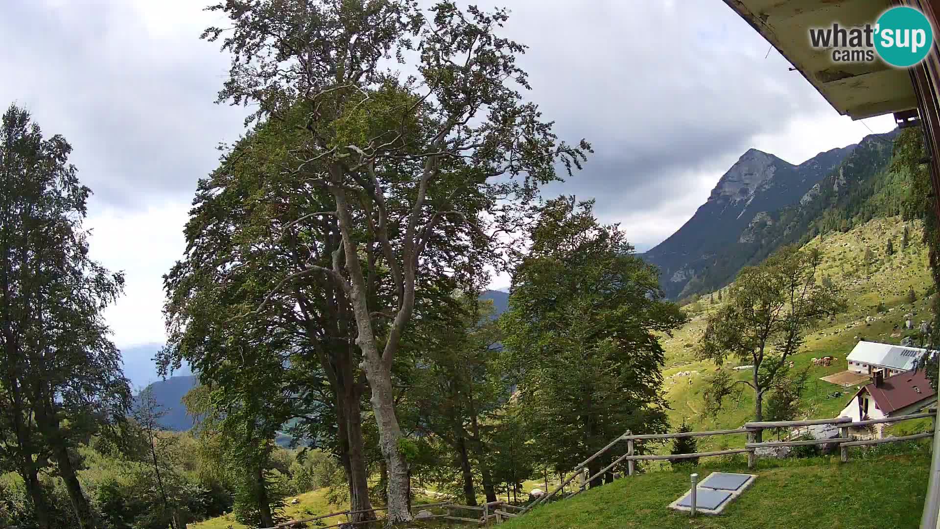Planina Razor Bergütte Webcam (1315) | Blick auf Tolminski Migovec