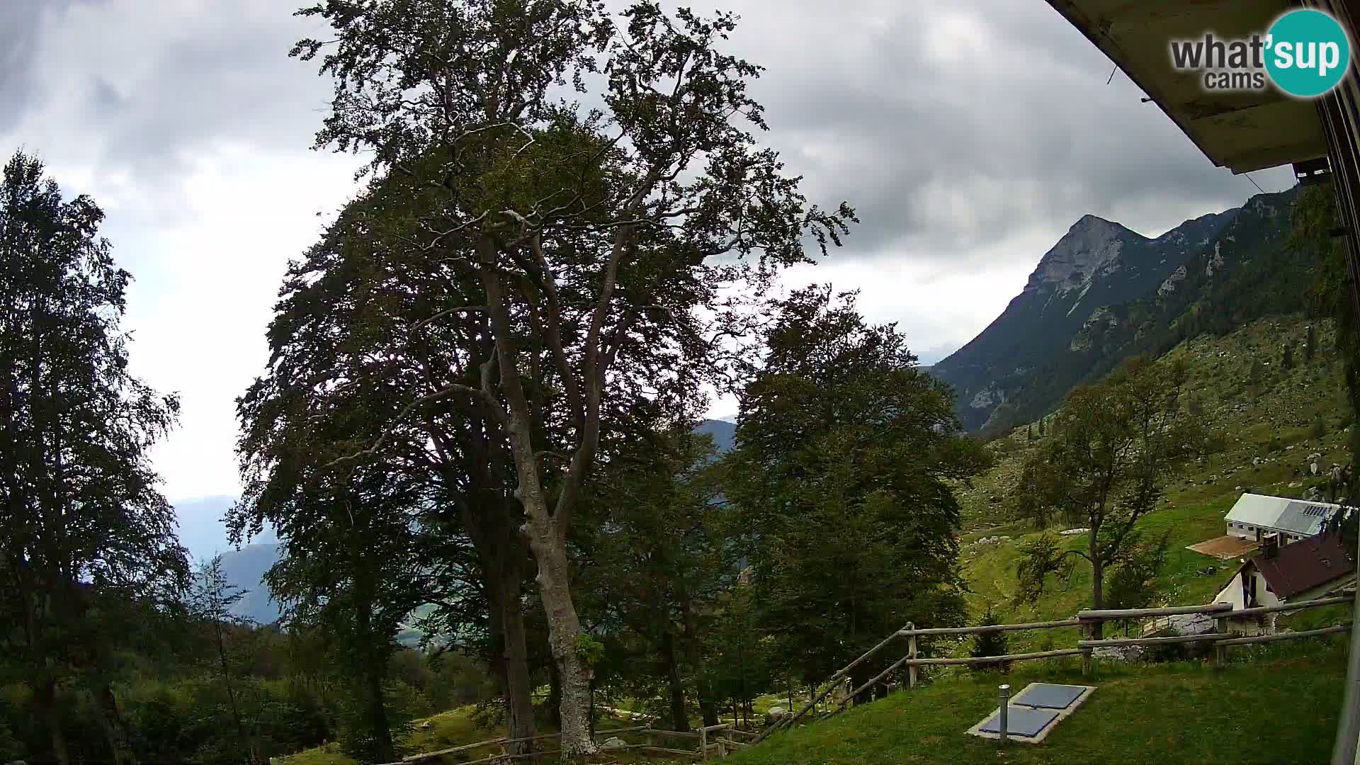 Baita di montagna Planina Razor webcam (1315) | vista su Tolminski Migovec