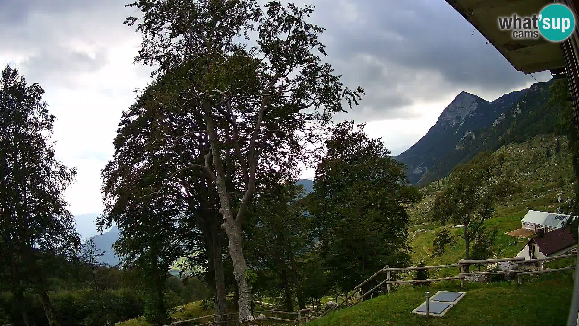 Planina Razor Bergütte Webcam (1315) | Blick auf Tolminski Migovec