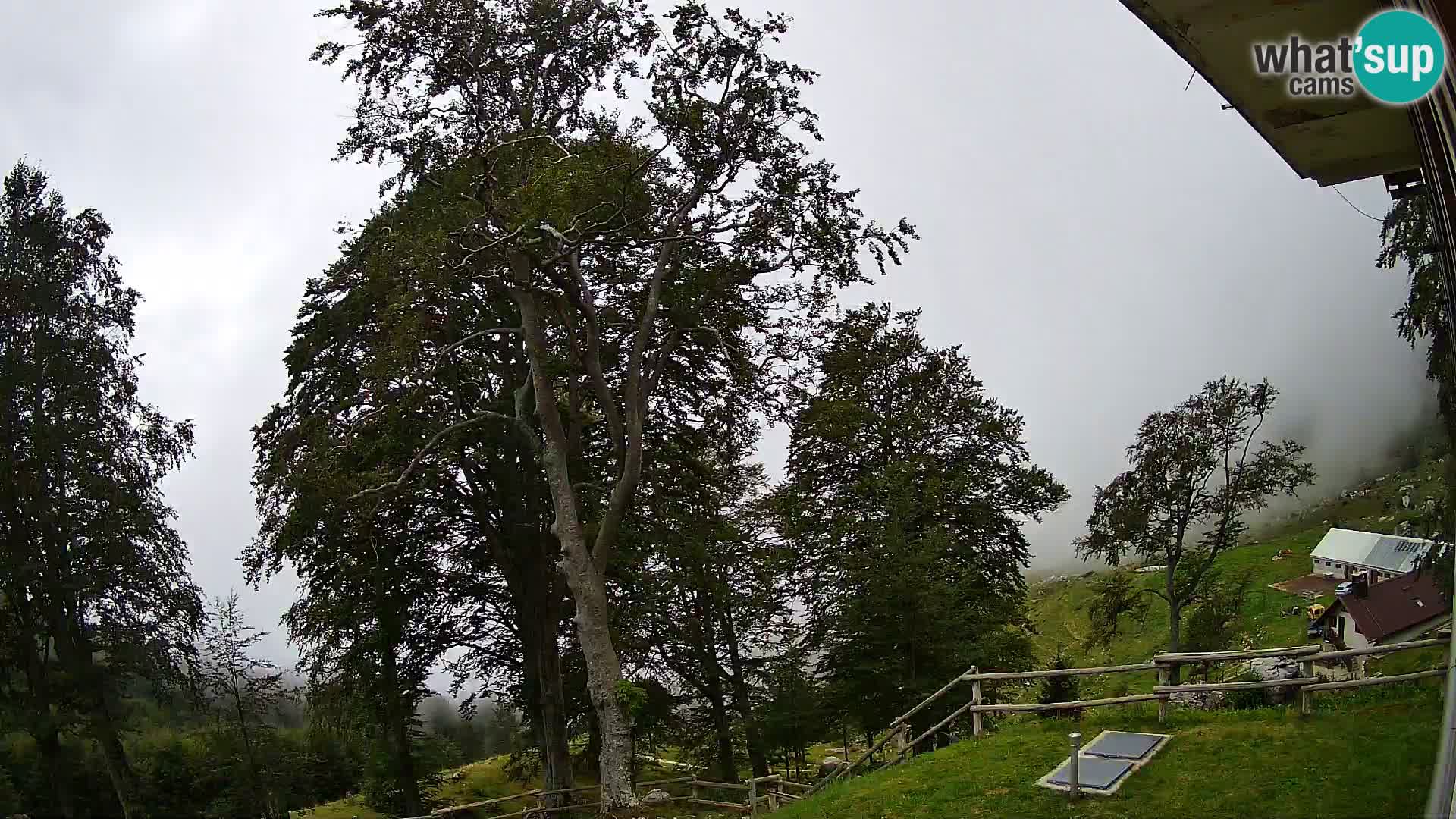 Planina Razor Mountain Hut live cam (1315) | view to Tolminski Migovec