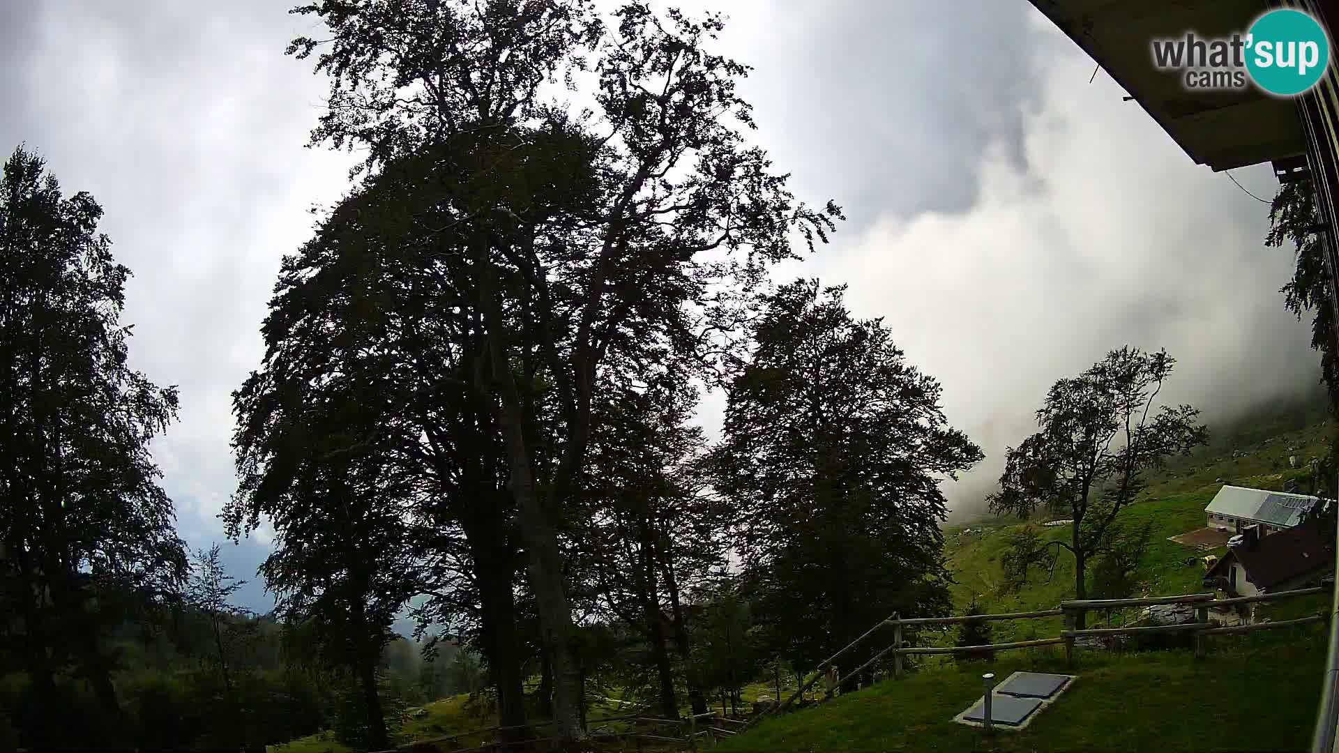 Baita di montagna Planina Razor webcam (1315) | vista su Tolminski Migovec