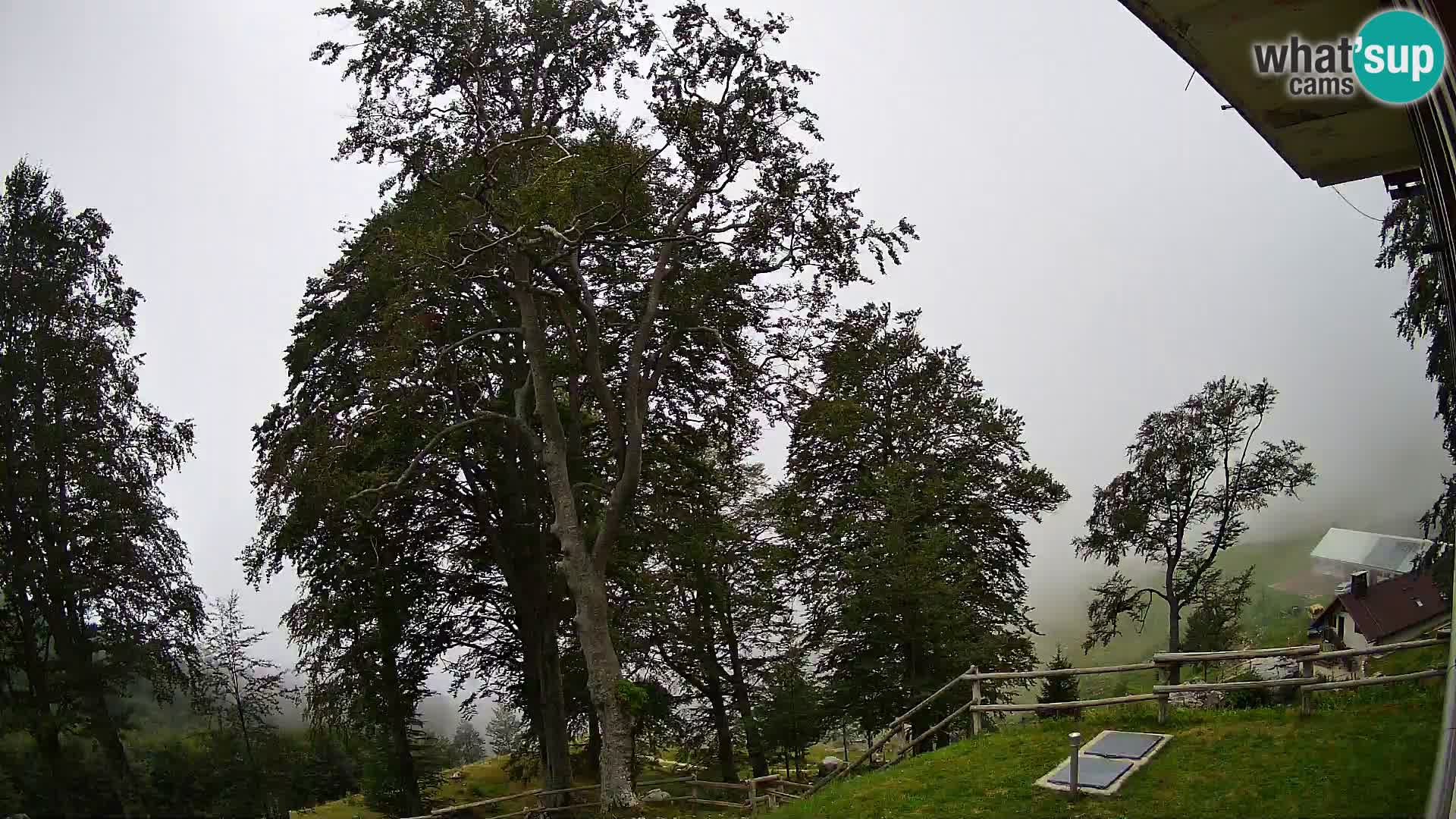 Cámara en vivo de la cabaña de montaña Planina Razor (1315) | vista hacia Tolminski Migovec