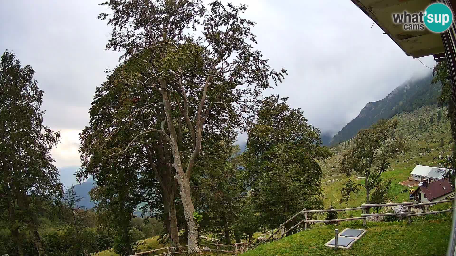 Cámara en vivo de la cabaña de montaña Planina Razor (1315) | vista hacia Tolminski Migovec