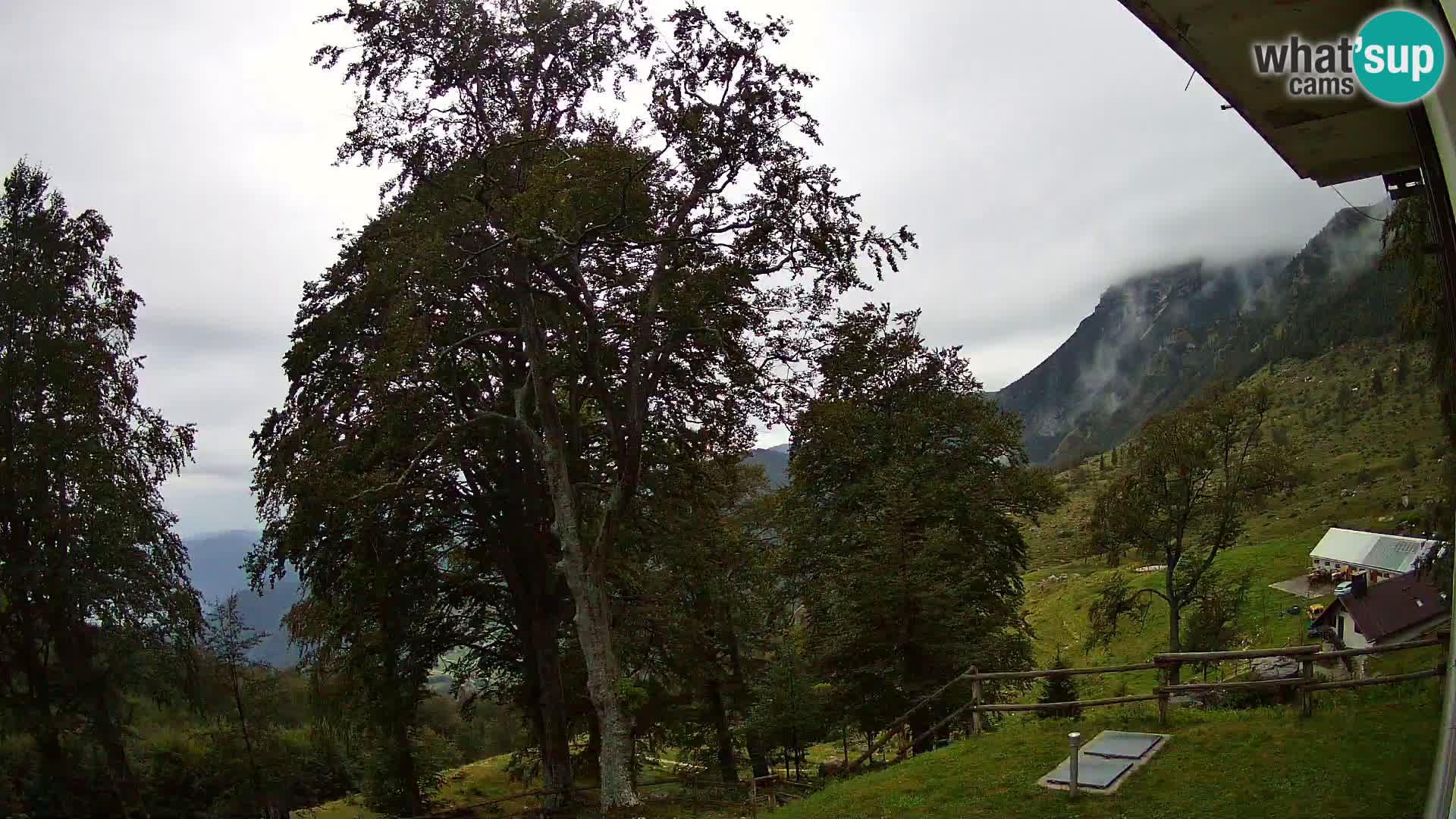 Planina Razor Bergütte Webcam (1315) | Blick auf Tolminski Migovec