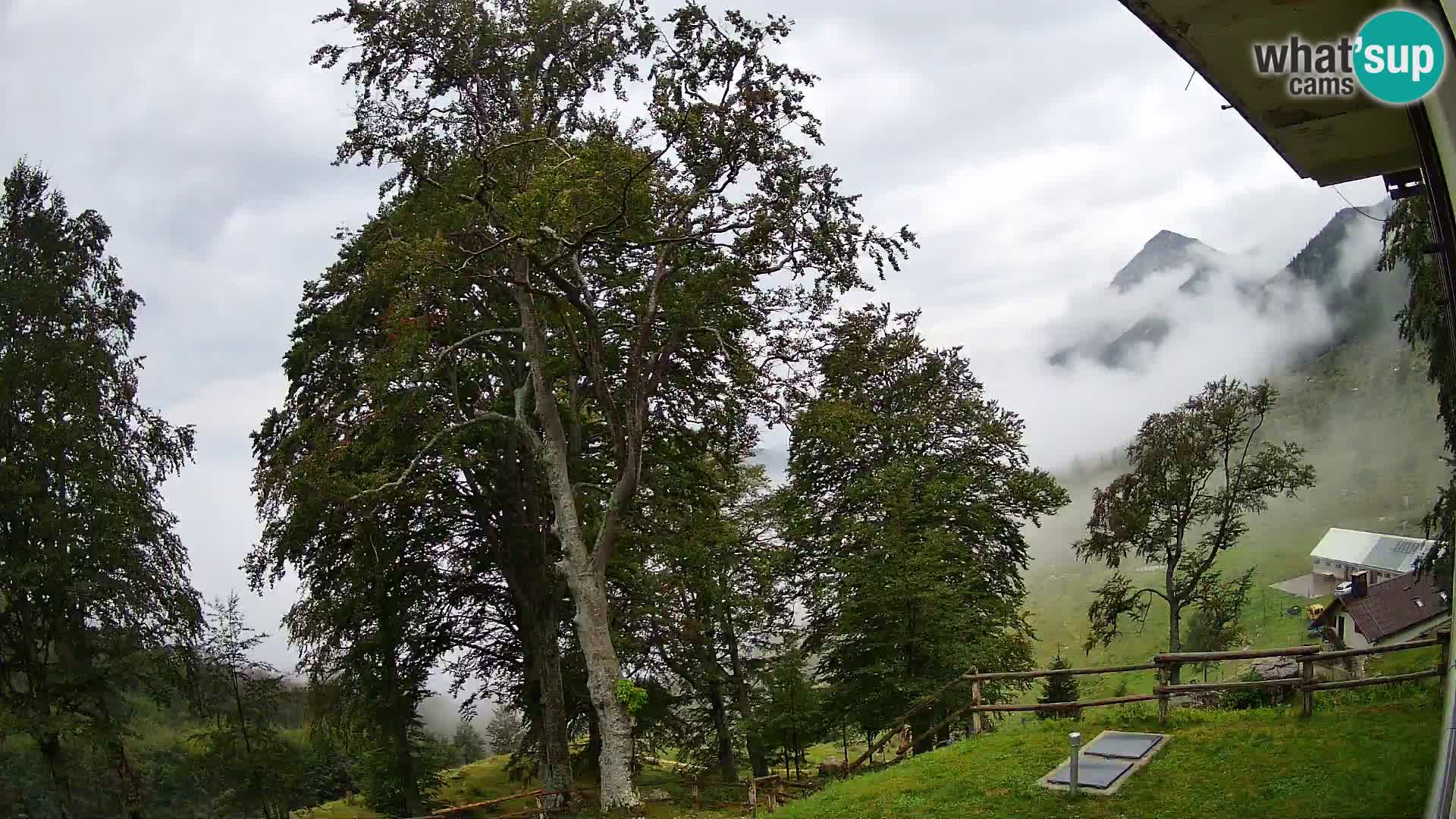 Planina Razor Bergütte Webcam (1315) | Blick auf Tolminski Migovec