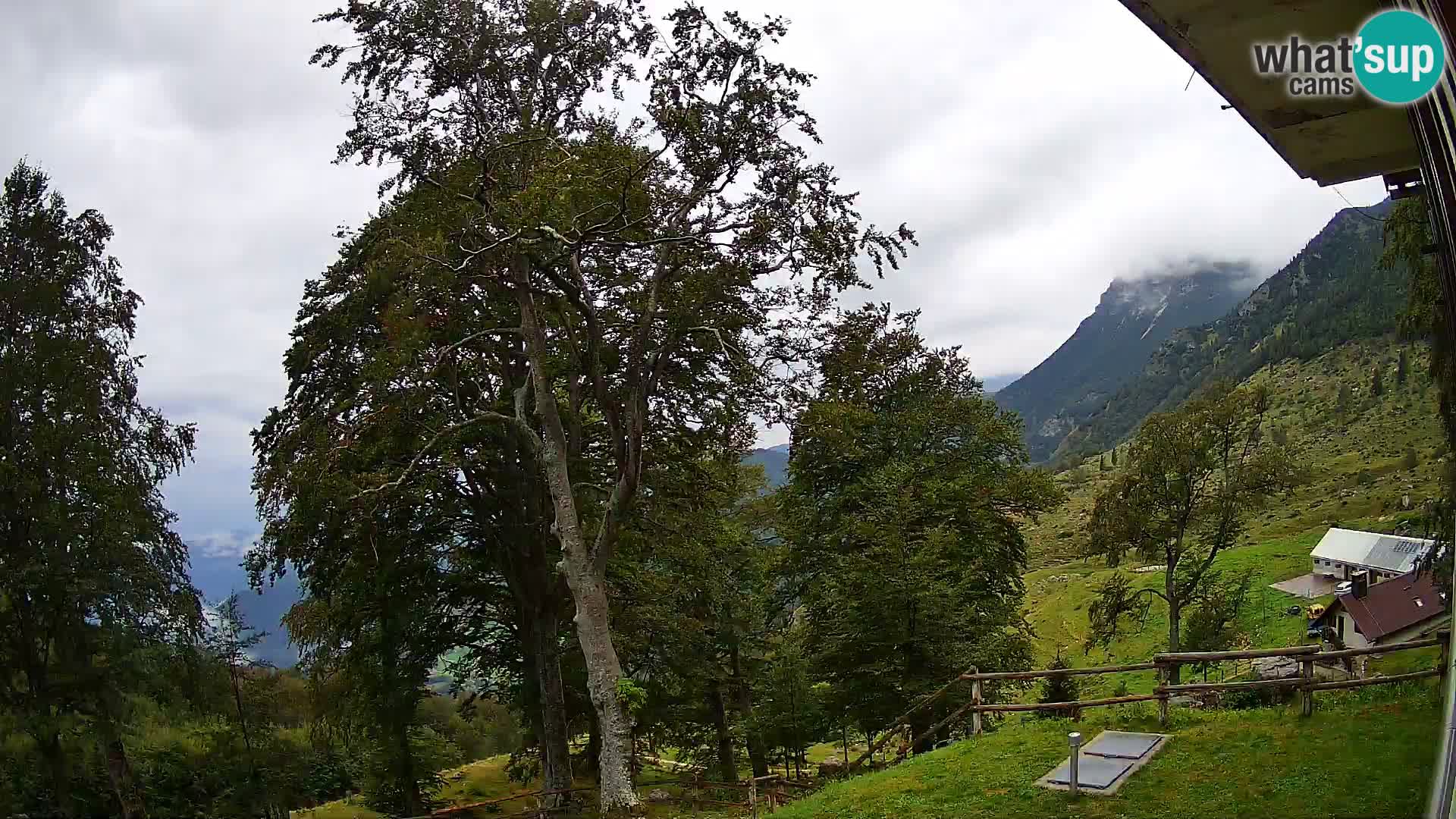 Baita di montagna Planina Razor webcam (1315) | vista su Tolminski Migovec