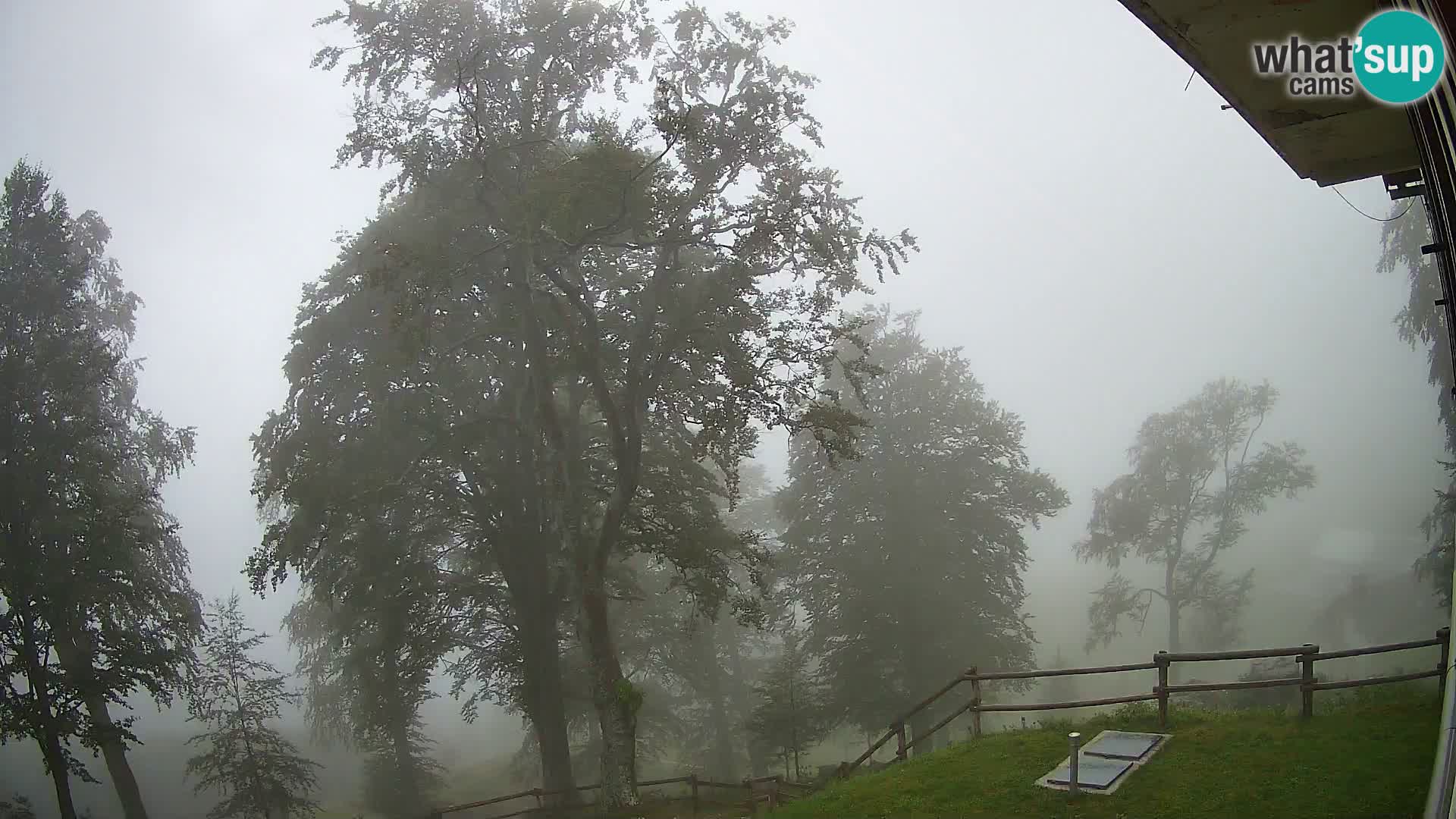 Planina Razor Mountain Hut live cam (1315) | view to Tolminski Migovec