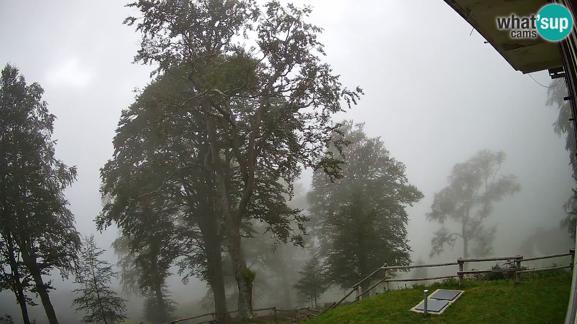 Planina Razor Bergütte Webcam (1315) | Blick auf Tolminski Migovec