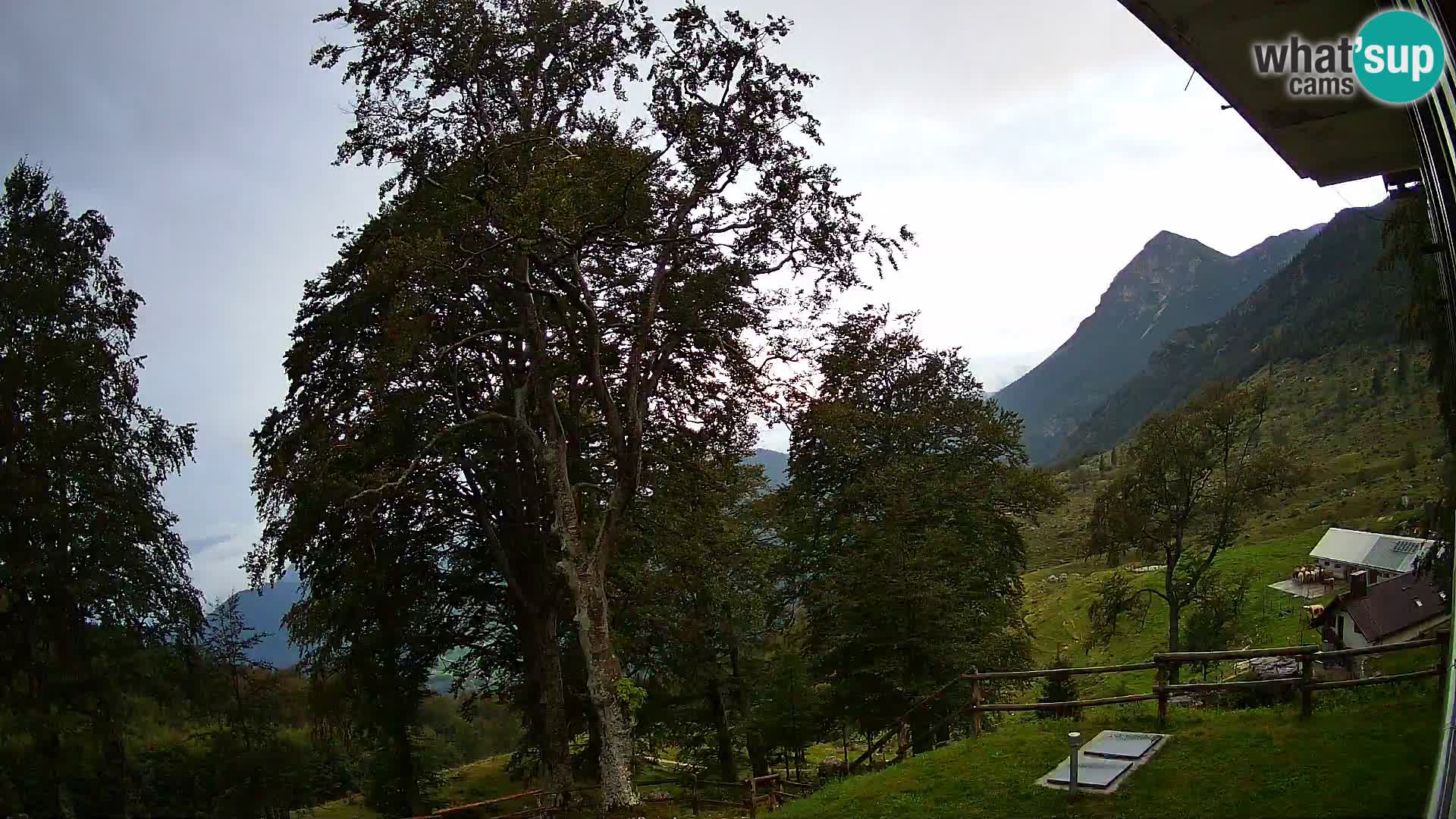 Cámara en vivo de la cabaña de montaña Planina Razor (1315) | vista hacia Tolminski Migovec