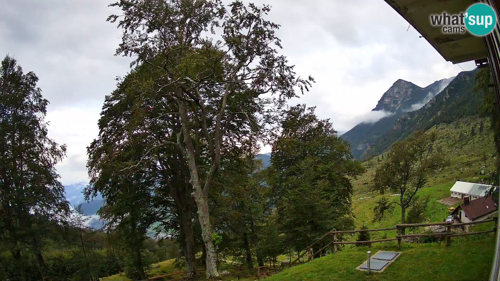 Planina Razor Bergütte Webcam (1315) | Blick auf Tolminski Migovec