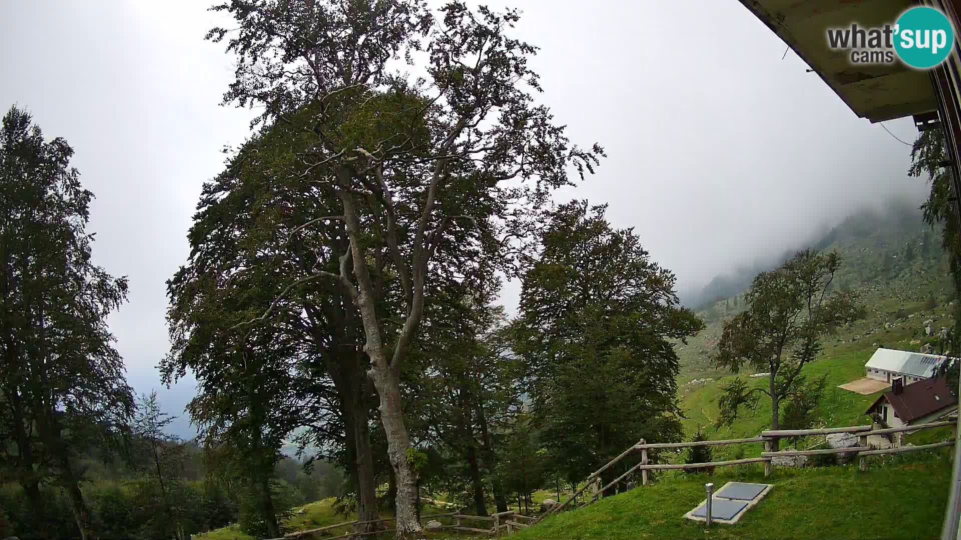 Cámara en vivo de la cabaña de montaña Planina Razor (1315) | vista hacia Tolminski Migovec