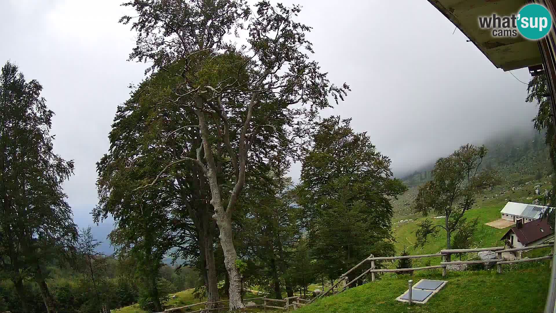 Cámara en vivo de la cabaña de montaña Planina Razor (1315) | vista hacia Tolminski Migovec