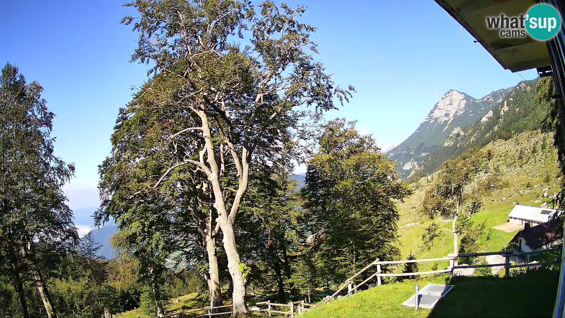 Refuge de la montagne Planina Razor caméra en direct (1315) | vue sur Tolminski Migovec