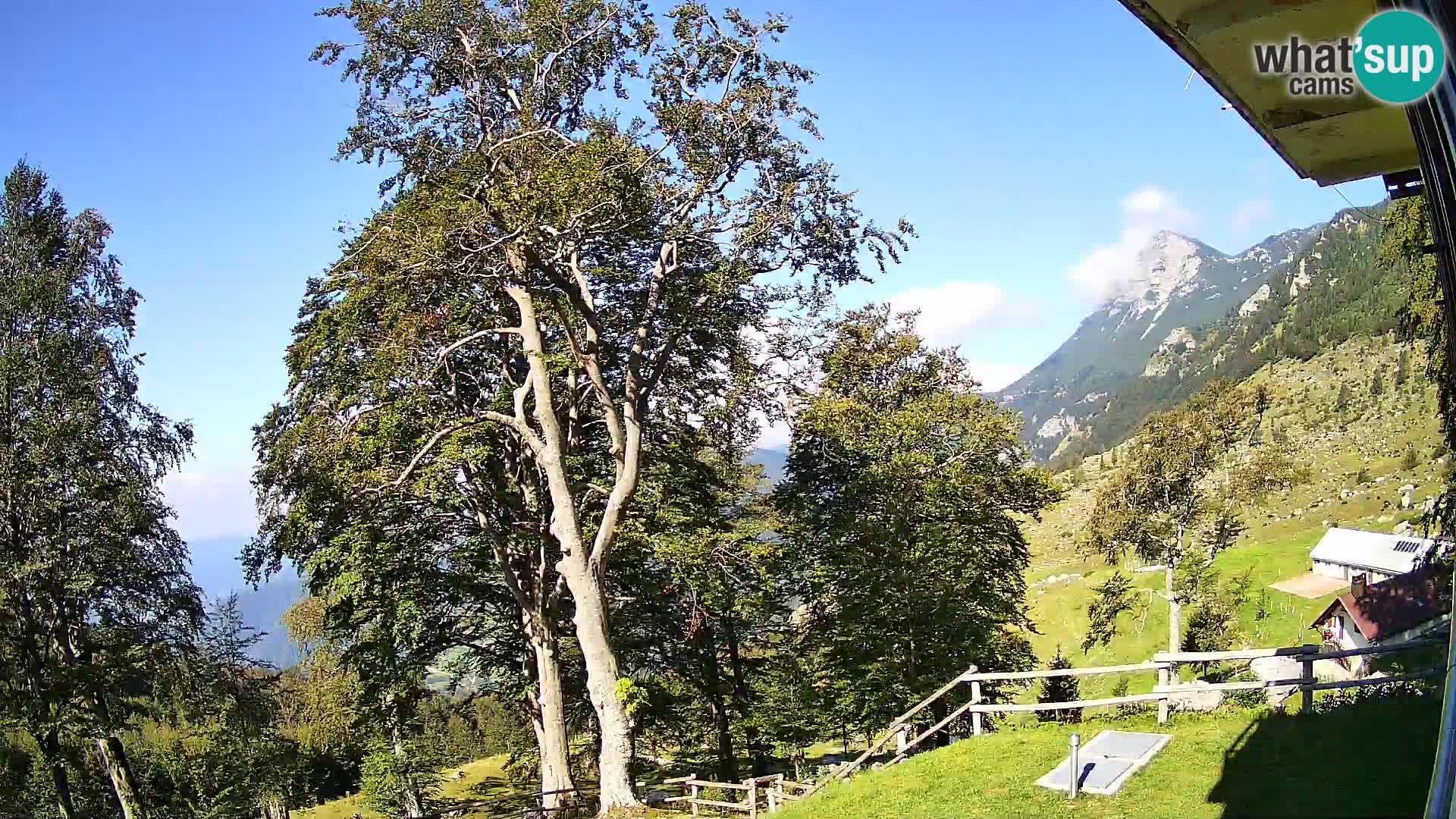Refuge de la montagne Planina Razor caméra en direct (1315) | vue sur Tolminski Migovec