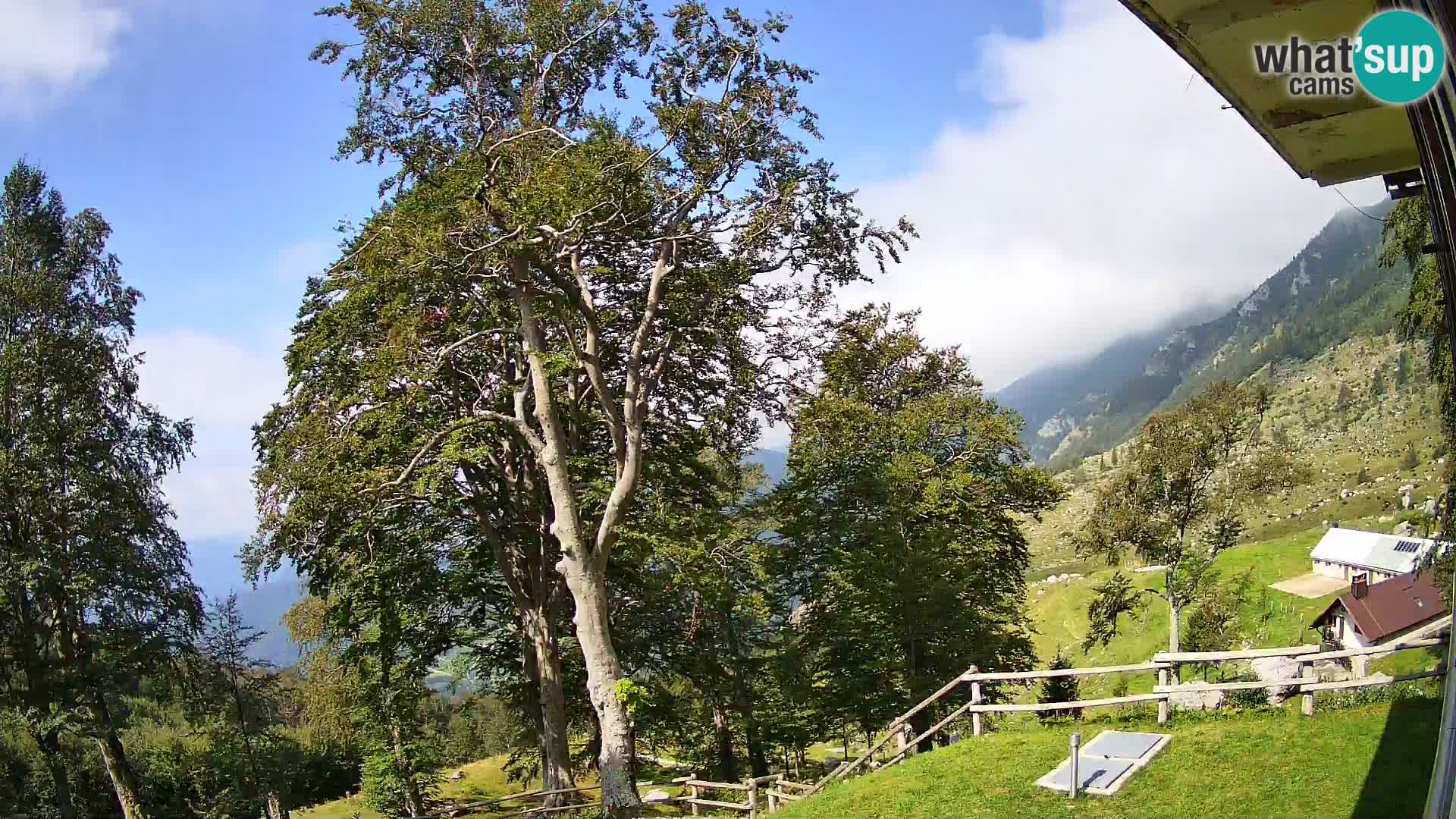 Planina Razor Mountain Hut live cam (1315) | view to Tolminski Migovec