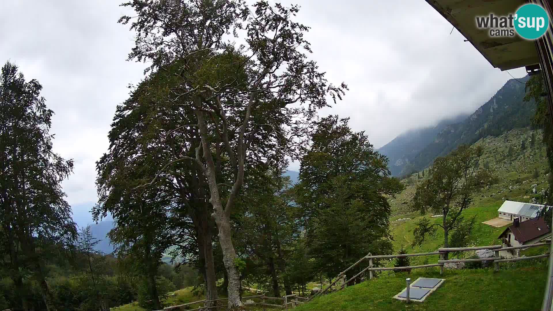 Planina Razor Mountain Hut live cam (1315) | view to Tolminski Migovec