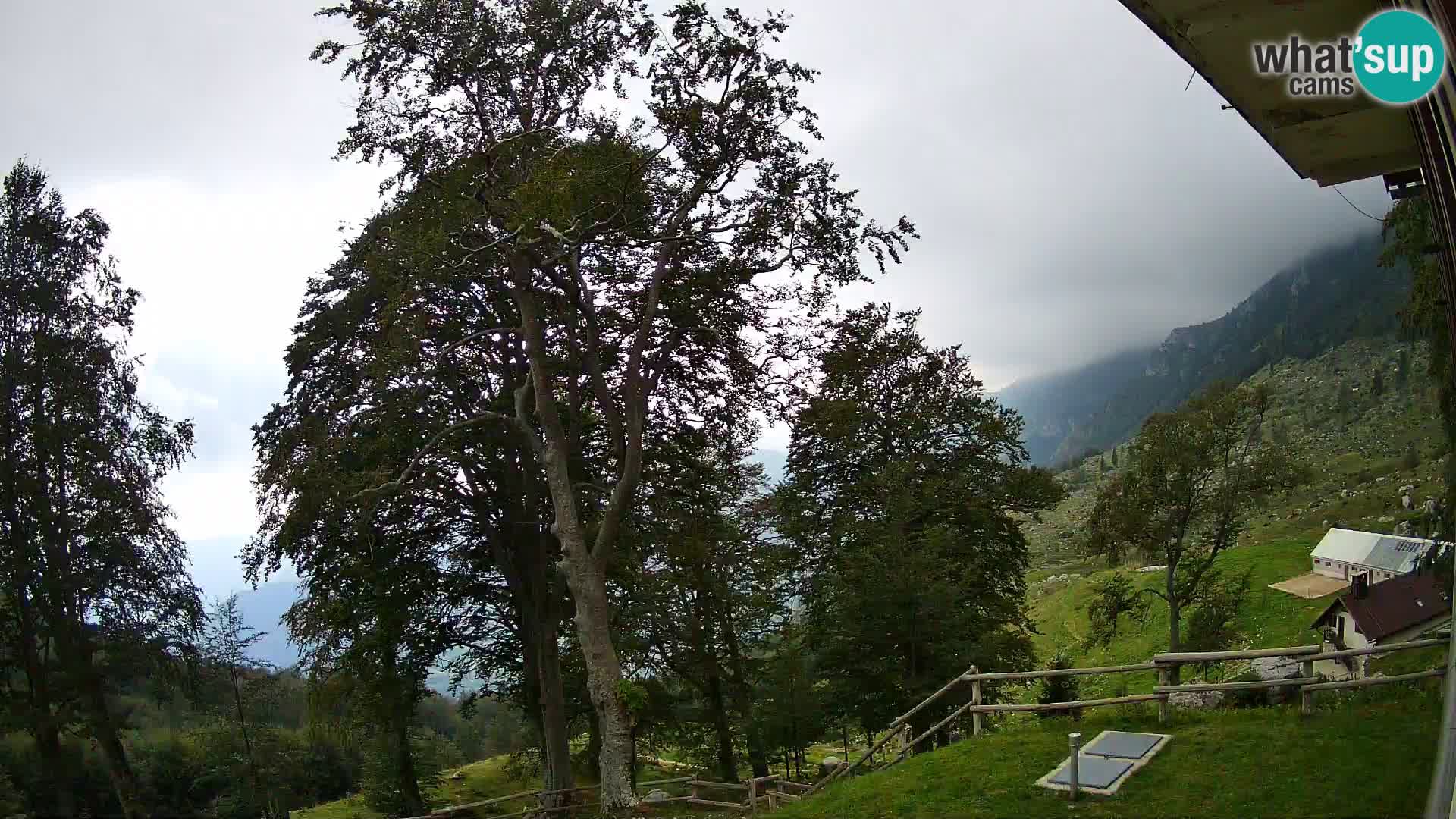 Planina Razor Bergütte Webcam (1315) | Blick auf Tolminski Migovec