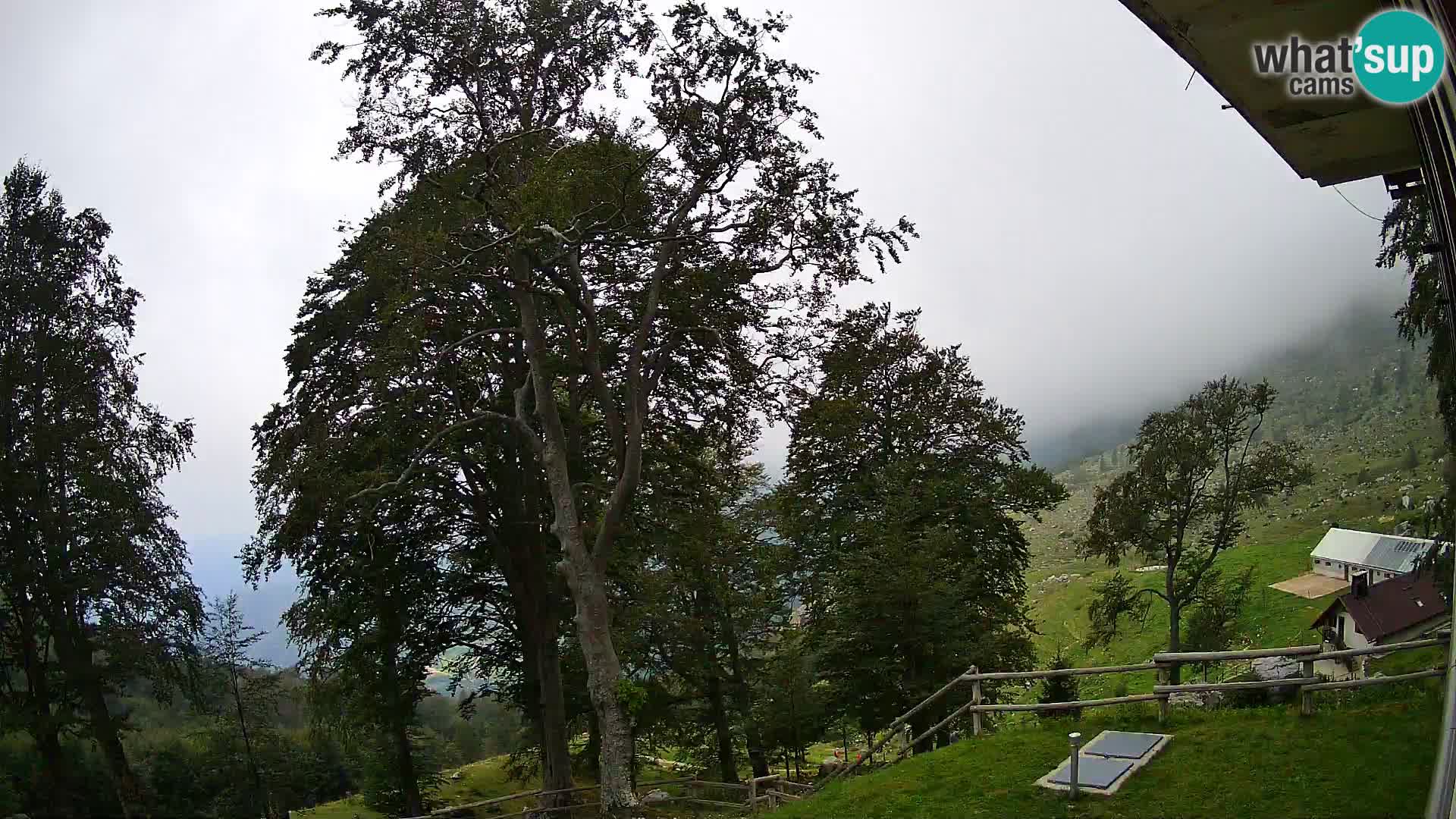 Cámara en vivo de la cabaña de montaña Planina Razor (1315) | vista hacia Tolminski Migovec
