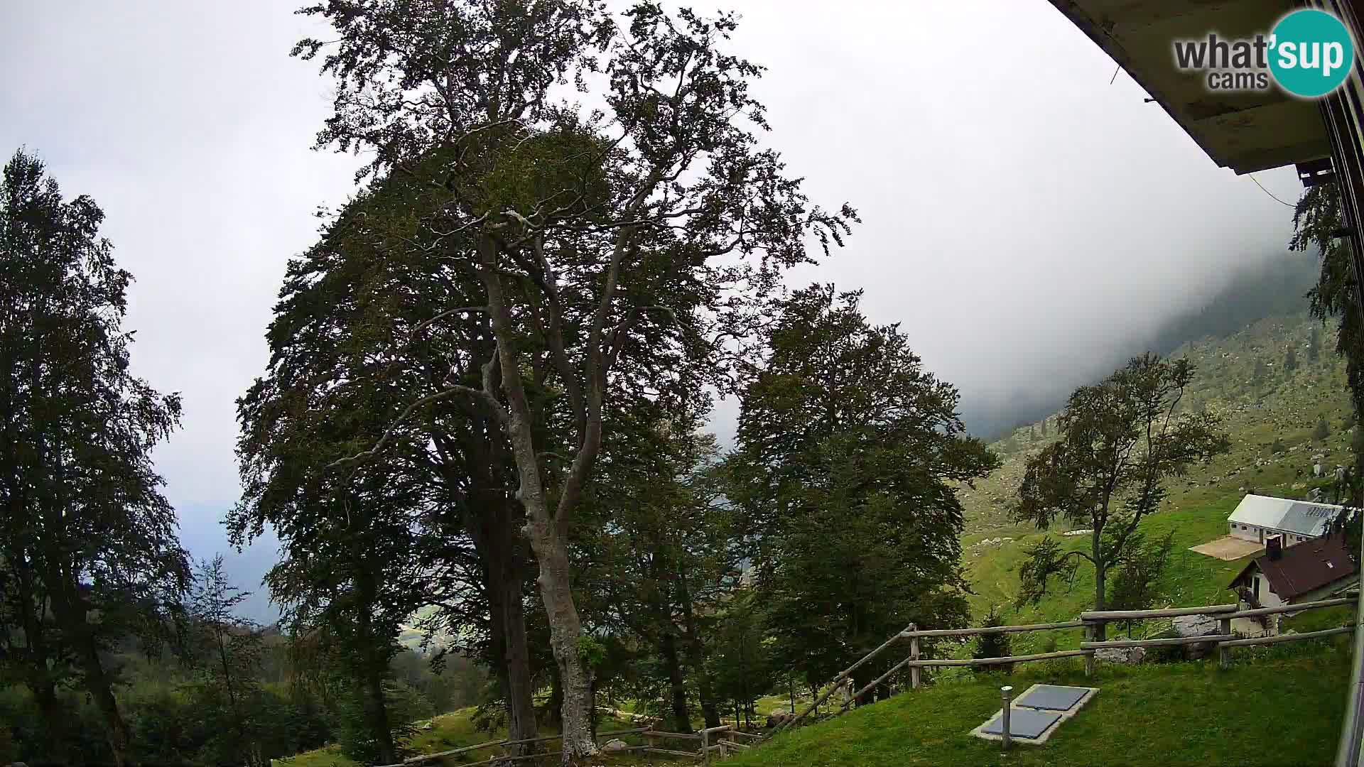 Planina Razor Bergütte Webcam (1315) | Blick auf Tolminski Migovec