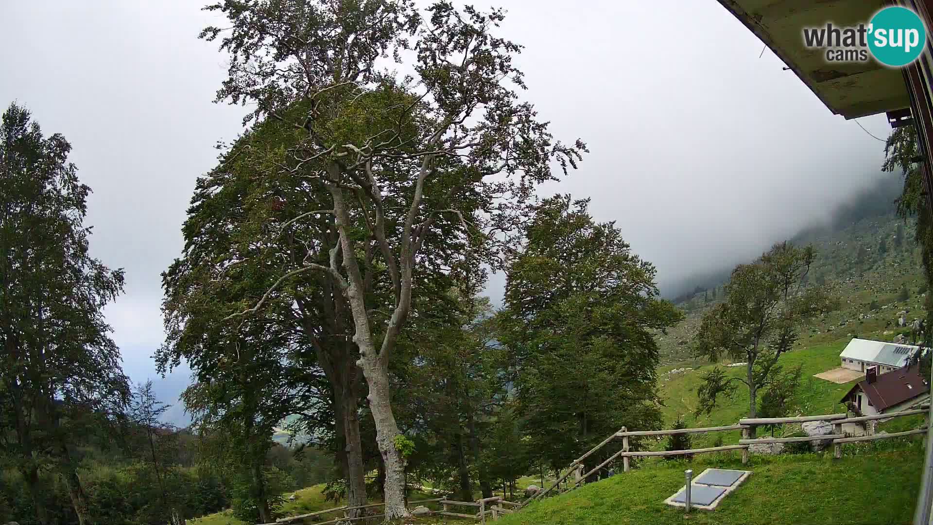 Planina Razor Mountain Hut live cam (1315) | view to Tolminski Migovec