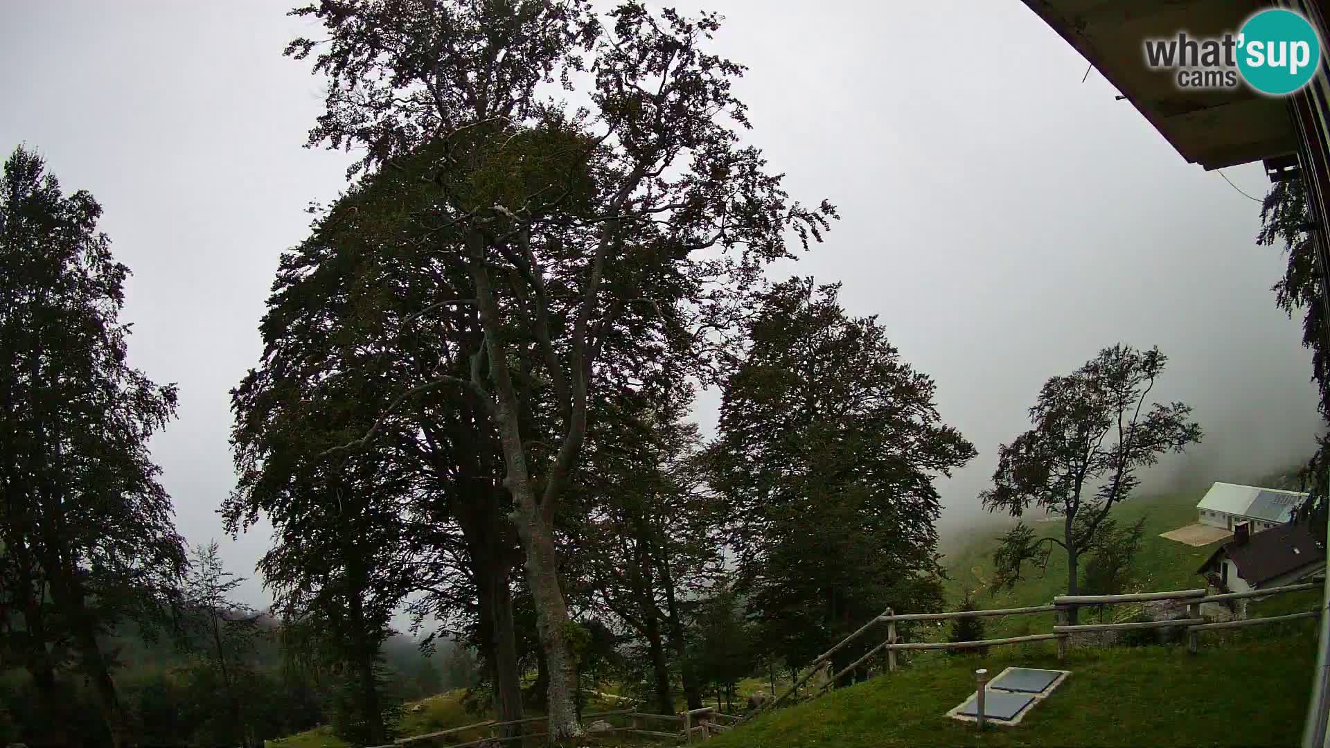 Planina Razor Mountain Hut live cam (1315) | view to Tolminski Migovec