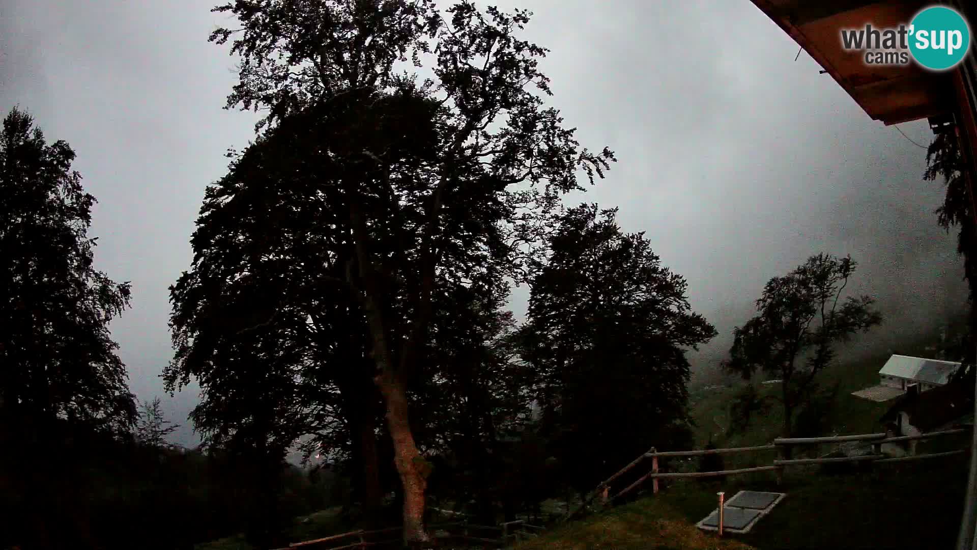 Planina Razor Mountain Hut live cam (1315) | view to Tolminski Migovec