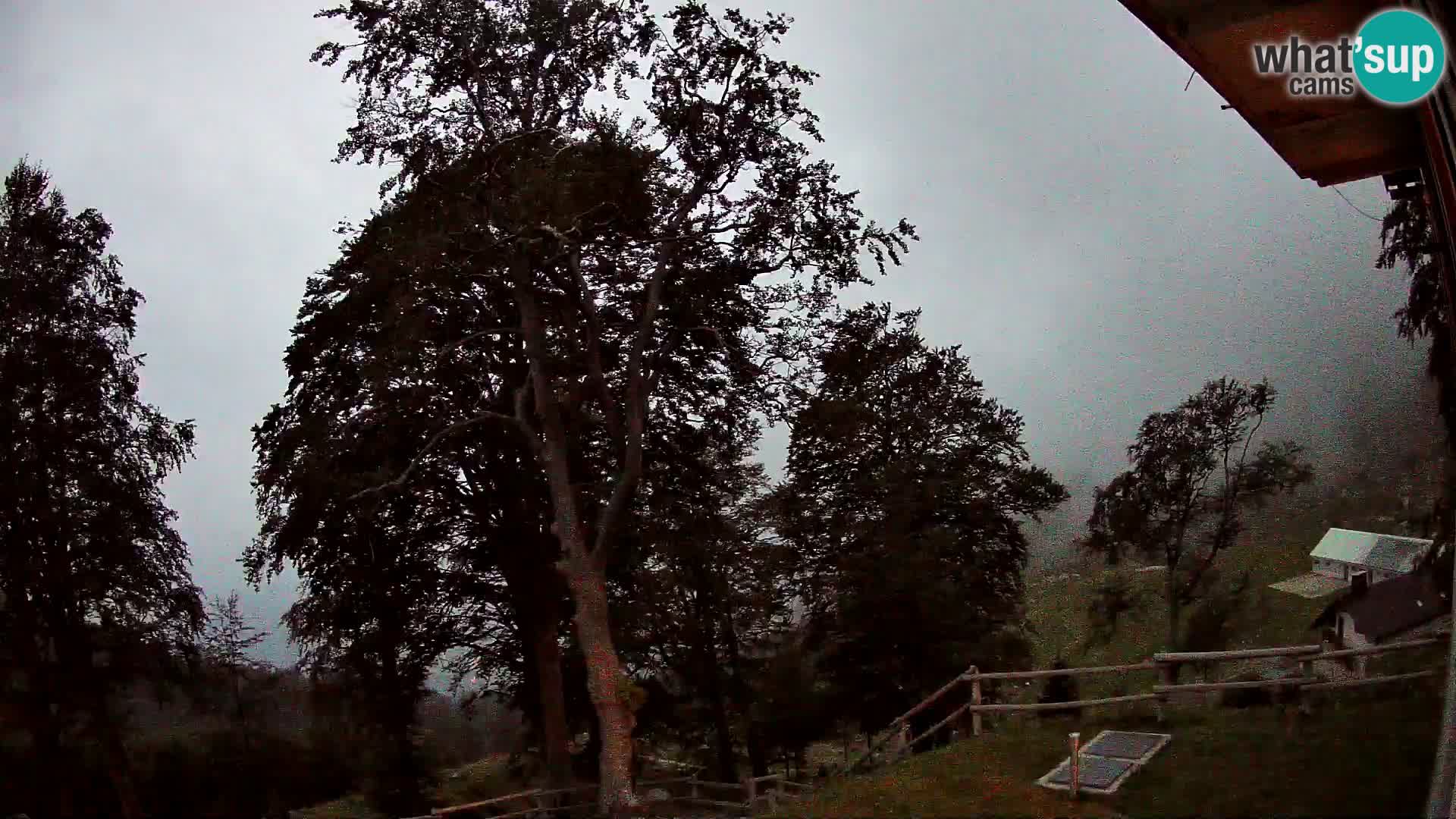 Planina Razor Mountain Hut live cam (1315) | view to Tolminski Migovec
