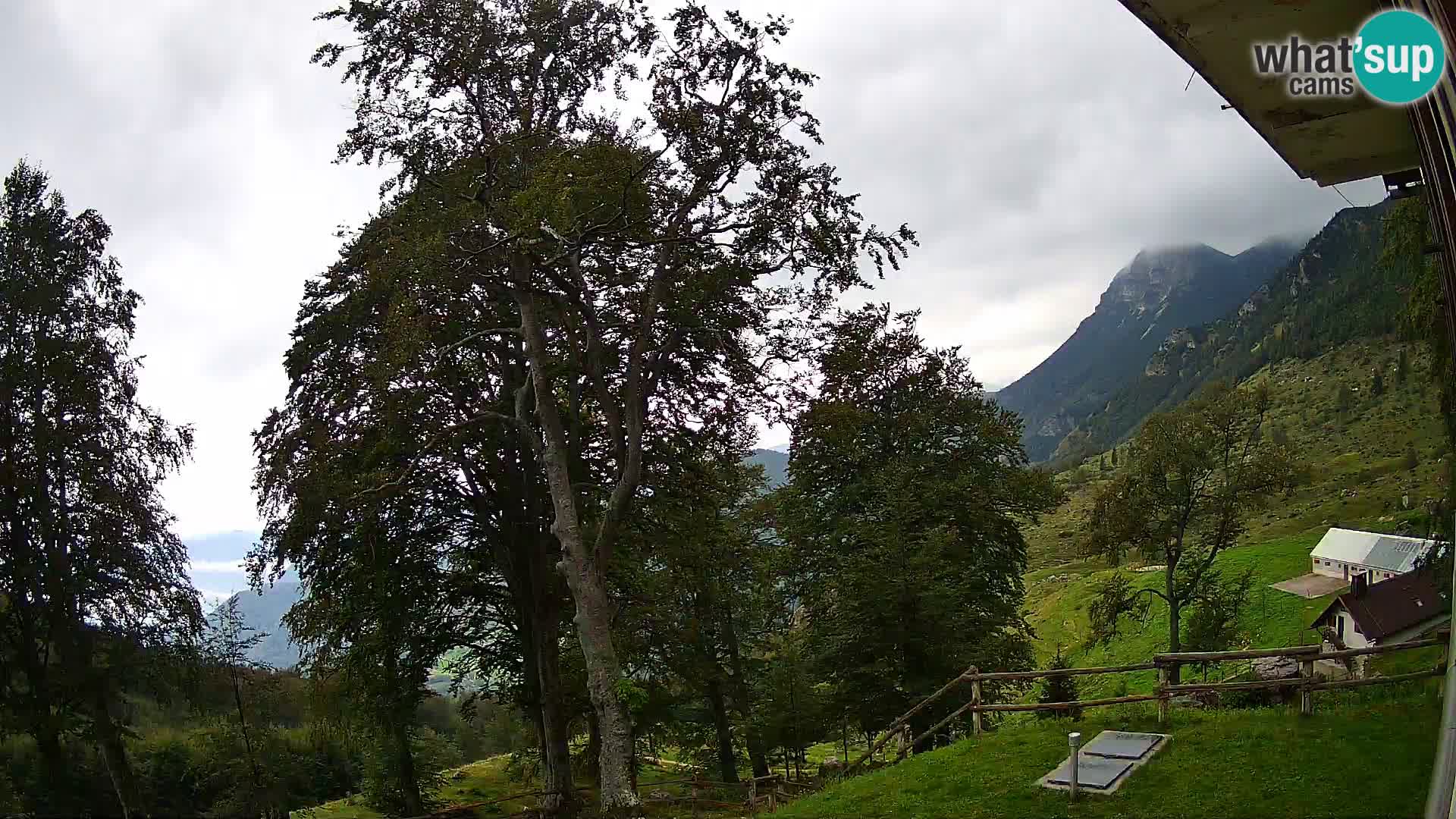 Planina Razor Bergütte Webcam (1315) | Blick auf Tolminski Migovec