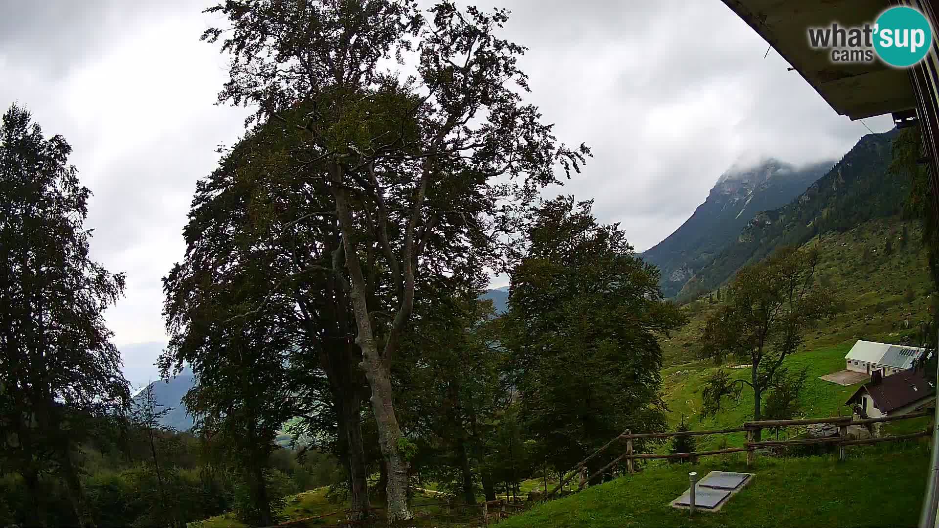 Planina Razor Bergütte Webcam (1315) | Blick auf Tolminski Migovec