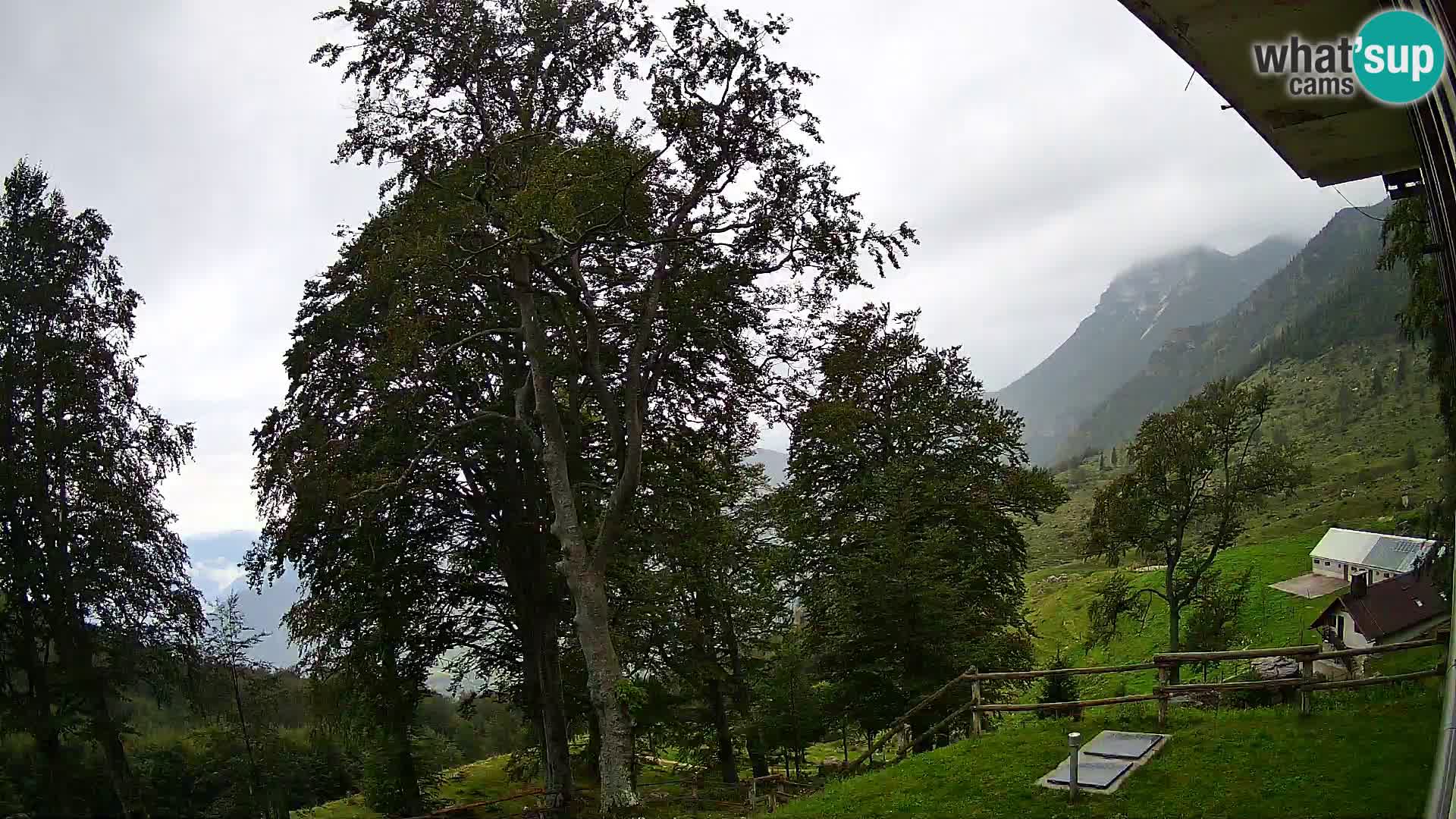 Baita di montagna Planina Razor webcam (1315) | vista su Tolminski Migovec