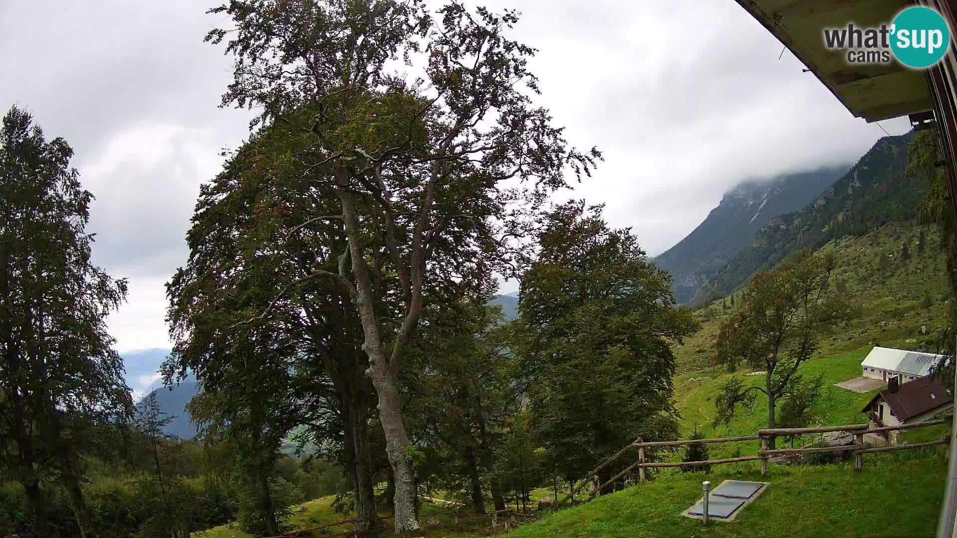 Planina Razor Bergütte Webcam (1315) | Blick auf Tolminski Migovec