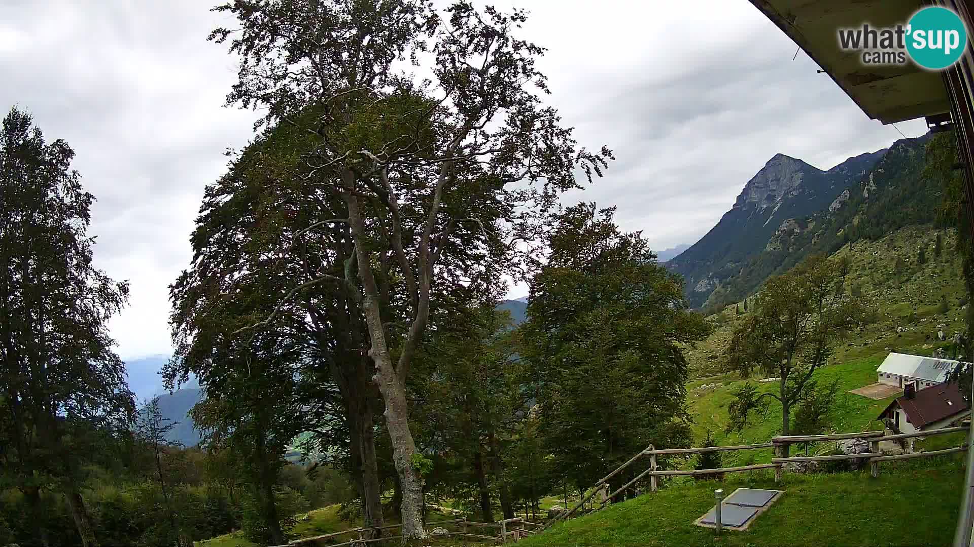 Planina Razor Bergütte Webcam (1315) | Blick auf Tolminski Migovec