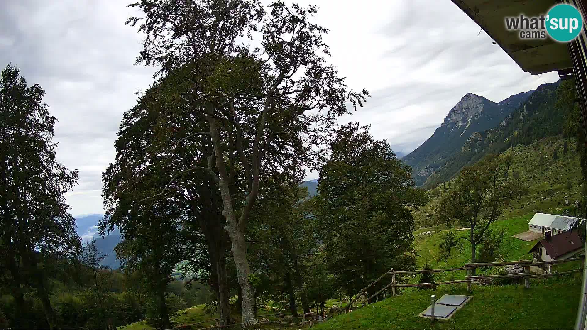 Koča na Planini Razor spletna kamera (1315) | Pogled na Tolminski Migovec