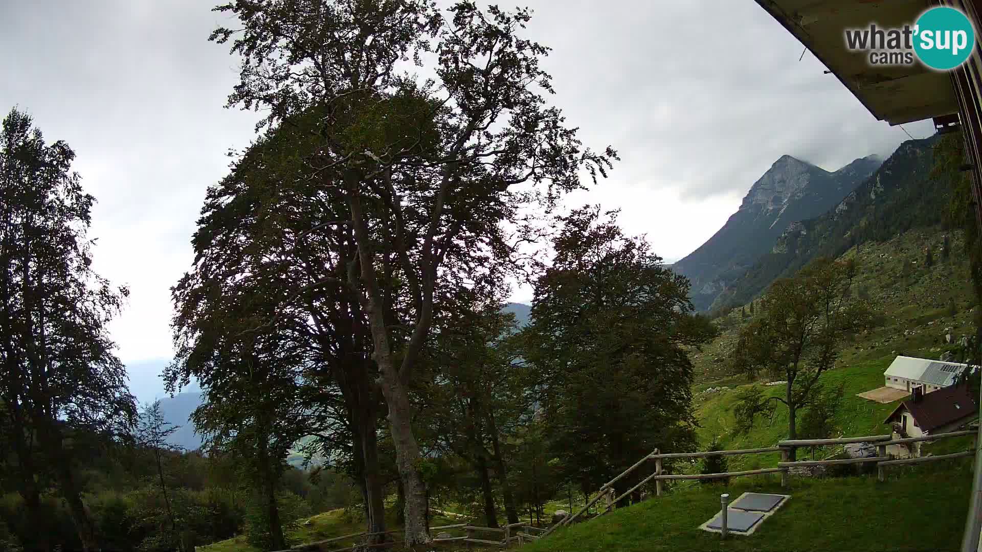 Baita di montagna Planina Razor webcam (1315) | vista su Tolminski Migovec