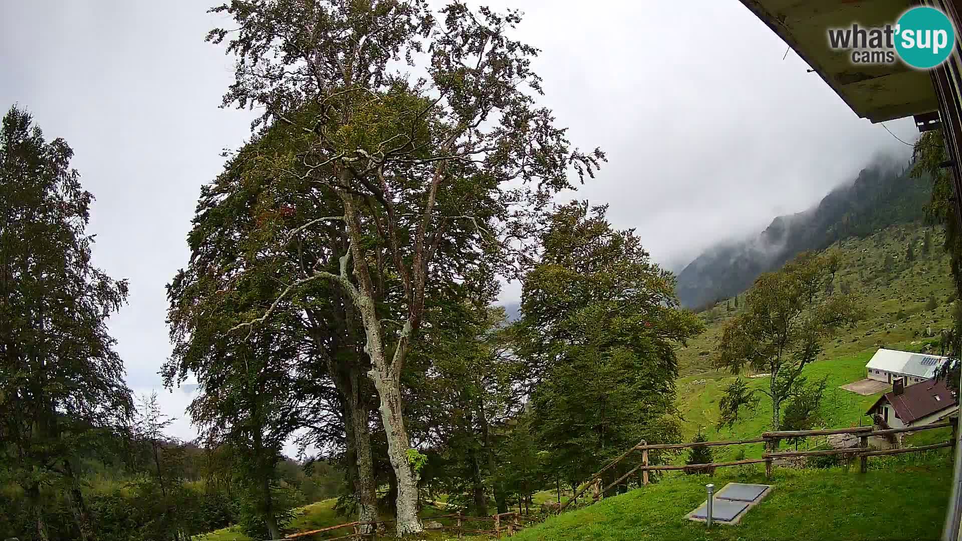 Planina Razor Bergütte Webcam (1315) | Blick auf Tolminski Migovec