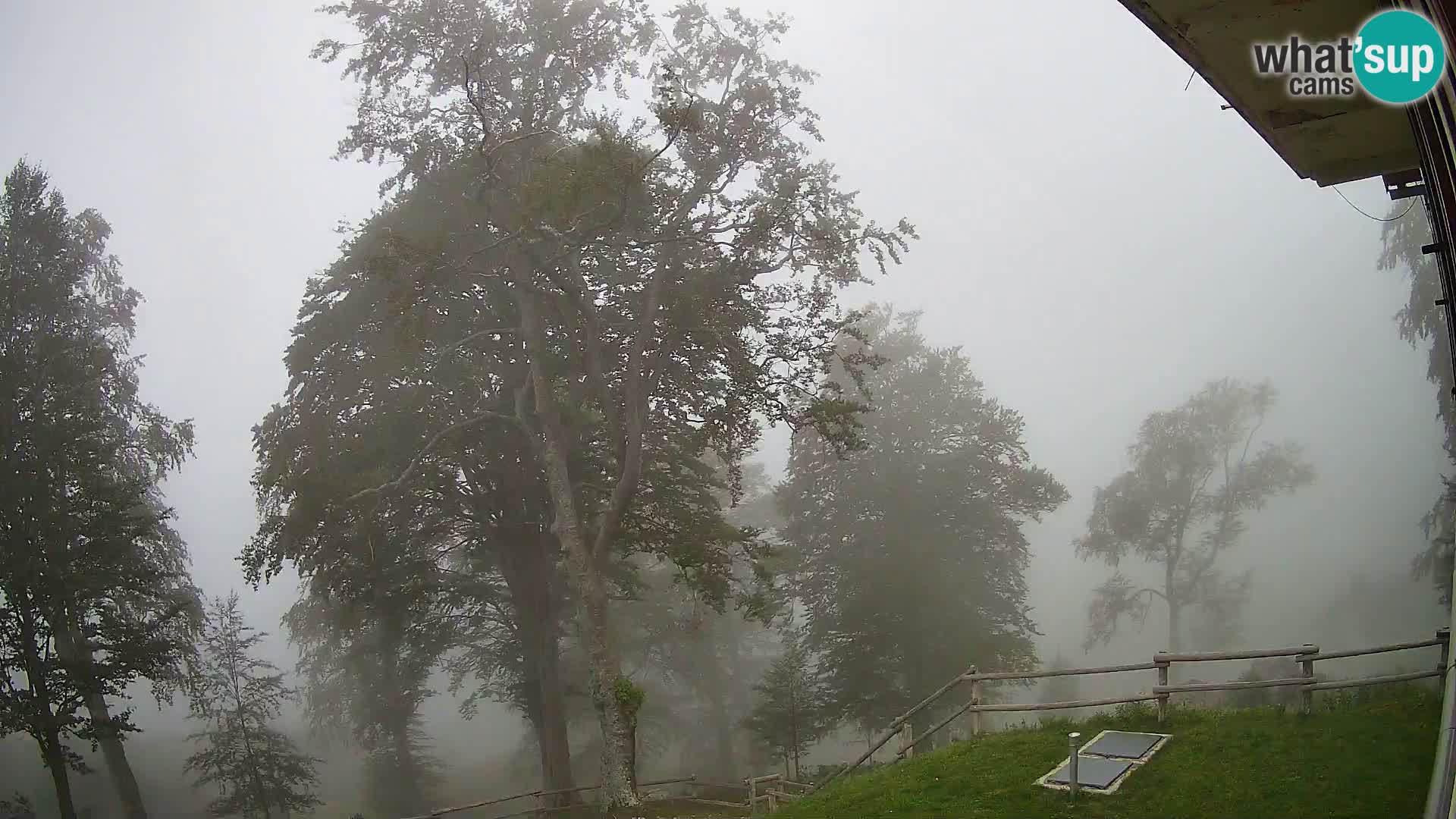 Planina Razor Mountain Hut live cam (1315) | view to Tolminski Migovec