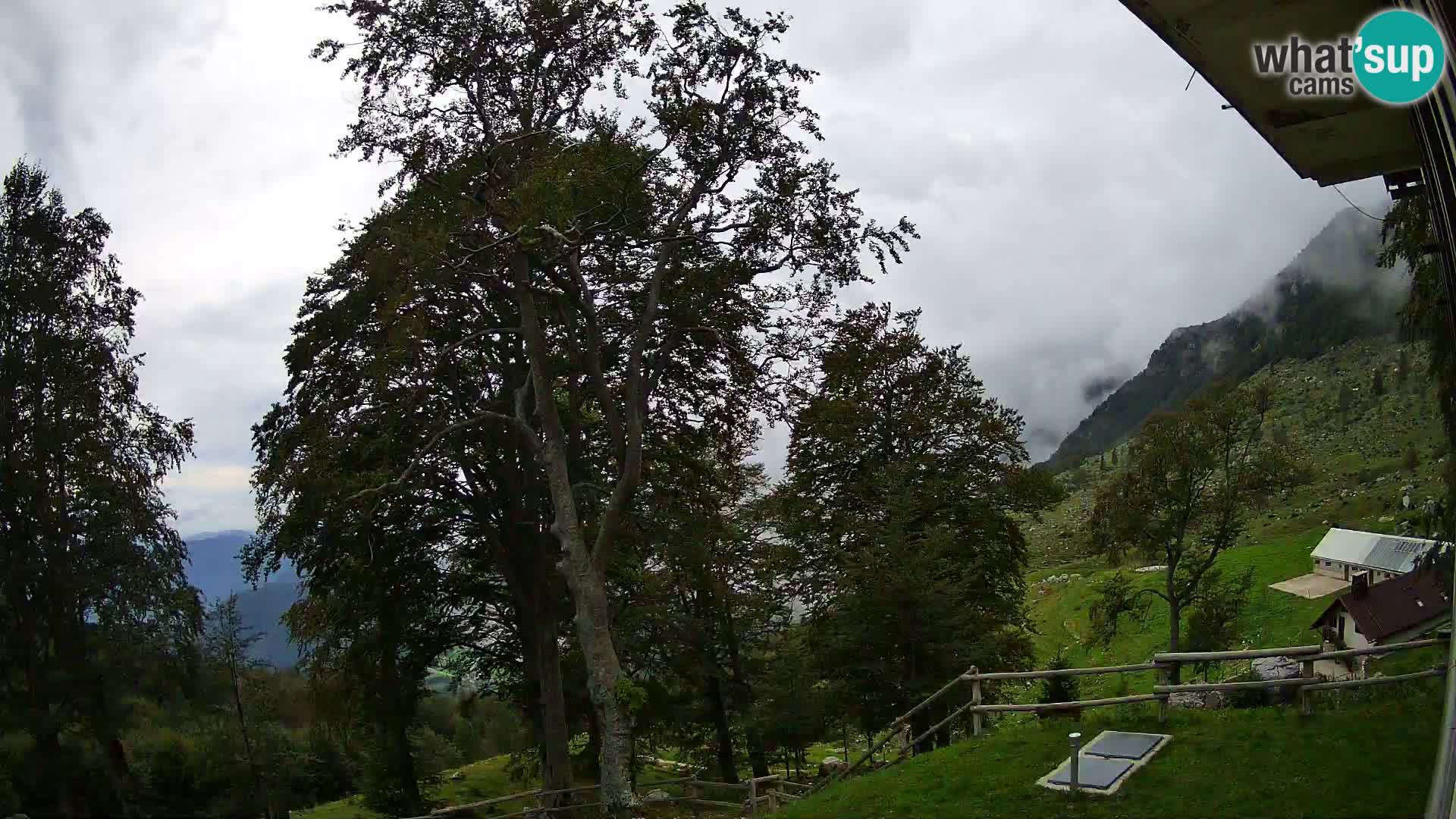 Refuge de la montagne Planina Razor caméra en direct (1315) | vue sur Tolminski Migovec