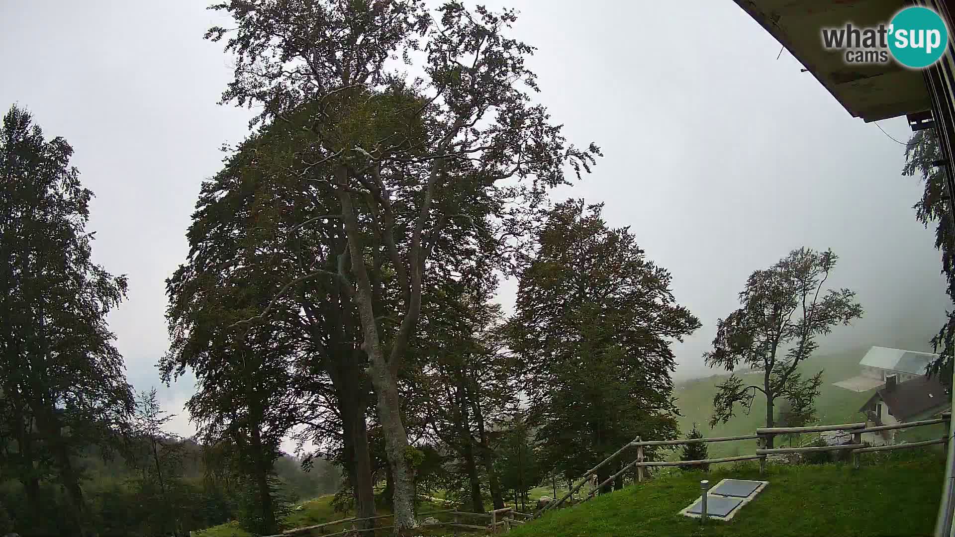 Refuge de la montagne Planina Razor caméra en direct (1315) | vue sur Tolminski Migovec