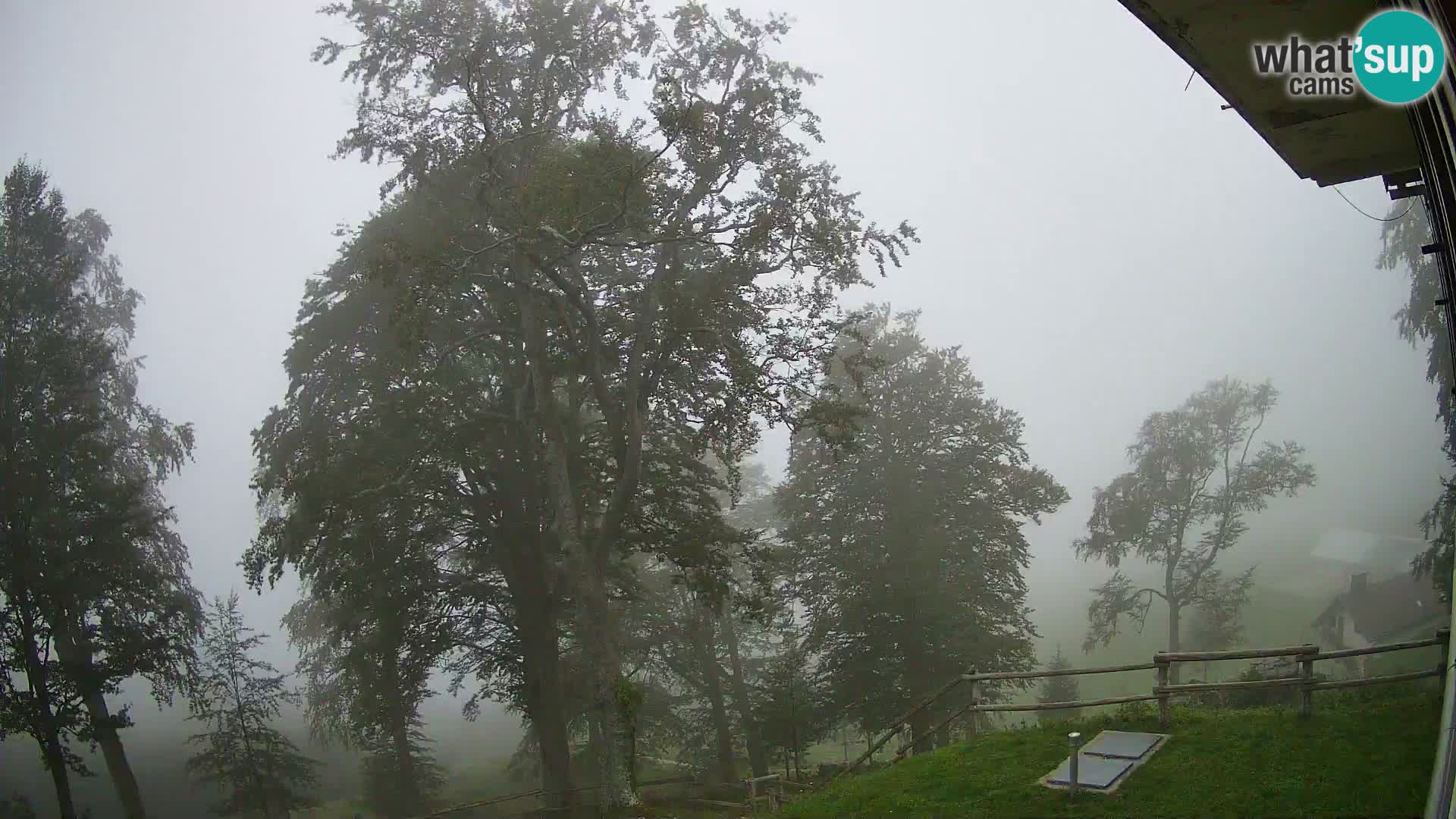 Planina Razor Mountain Hut live cam (1315) | view to Tolminski Migovec