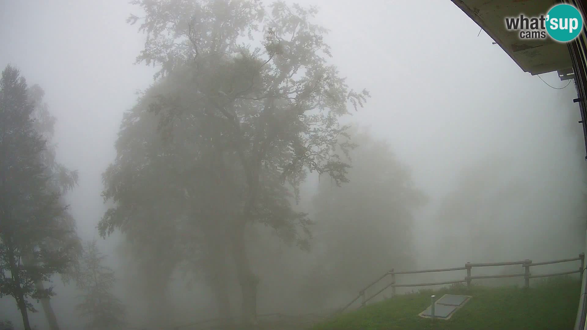 Baita di montagna Planina Razor webcam (1315) | vista su Tolminski Migovec