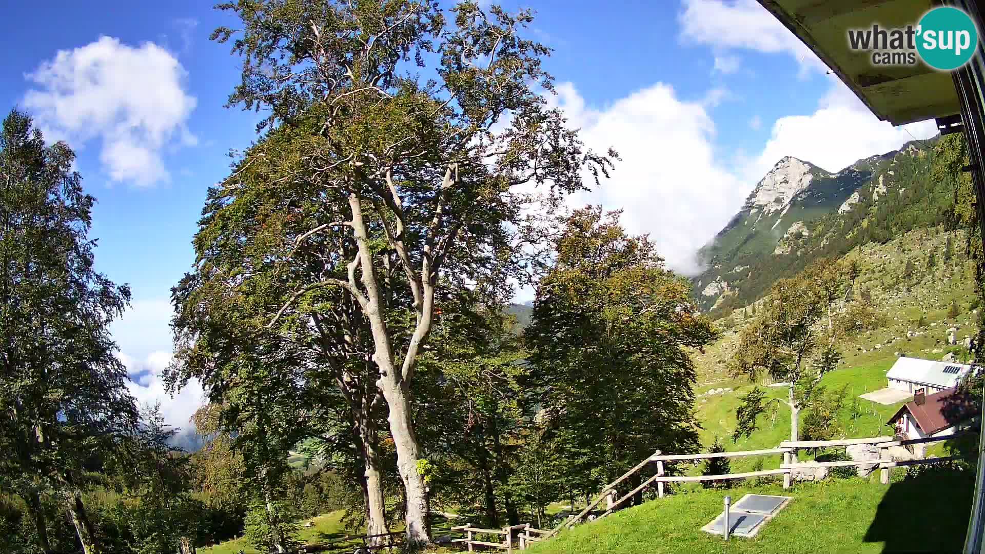 Baita di montagna Planina Razor webcam (1315) | vista su Tolminski Migovec