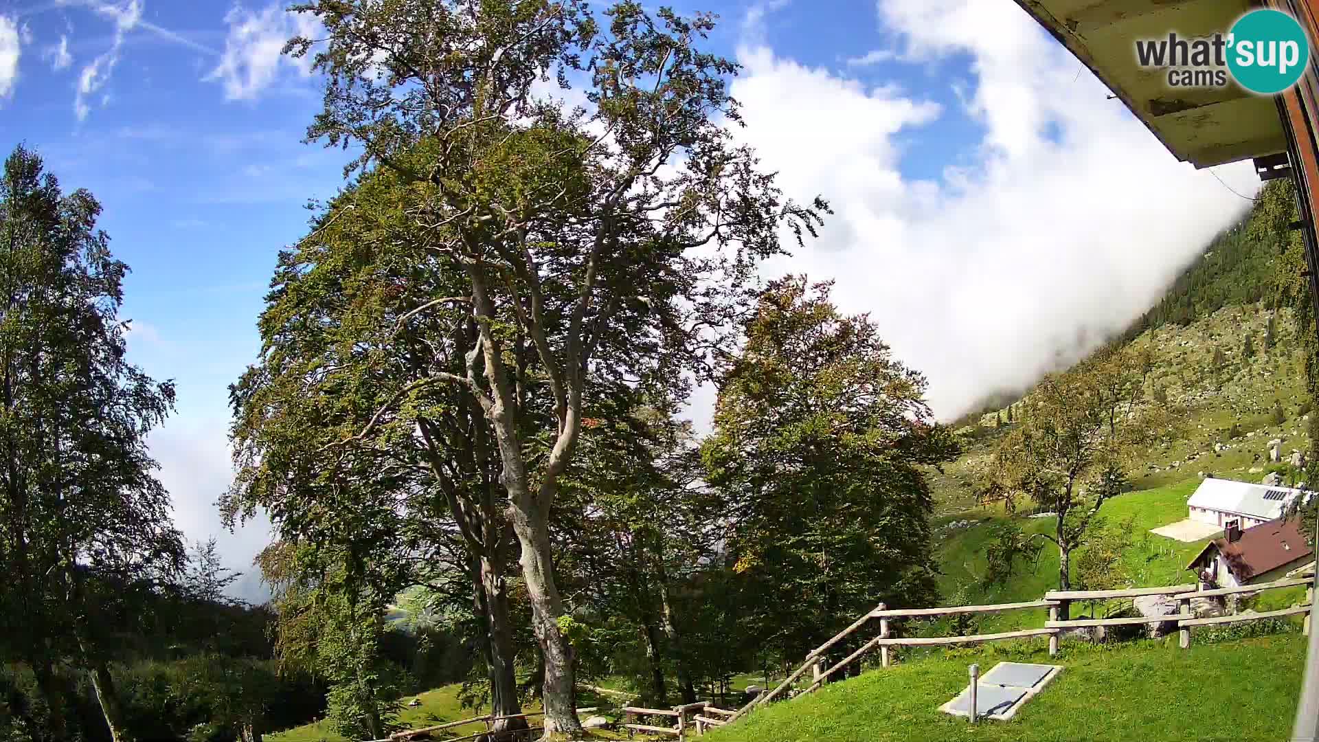 Cámara en vivo de la cabaña de montaña Planina Razor (1315) | vista hacia Tolminski Migovec