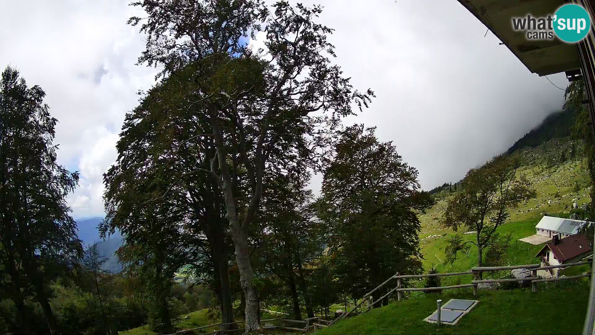 Planina Razor Mountain Hut live cam (1315) | view to Tolminski Migovec