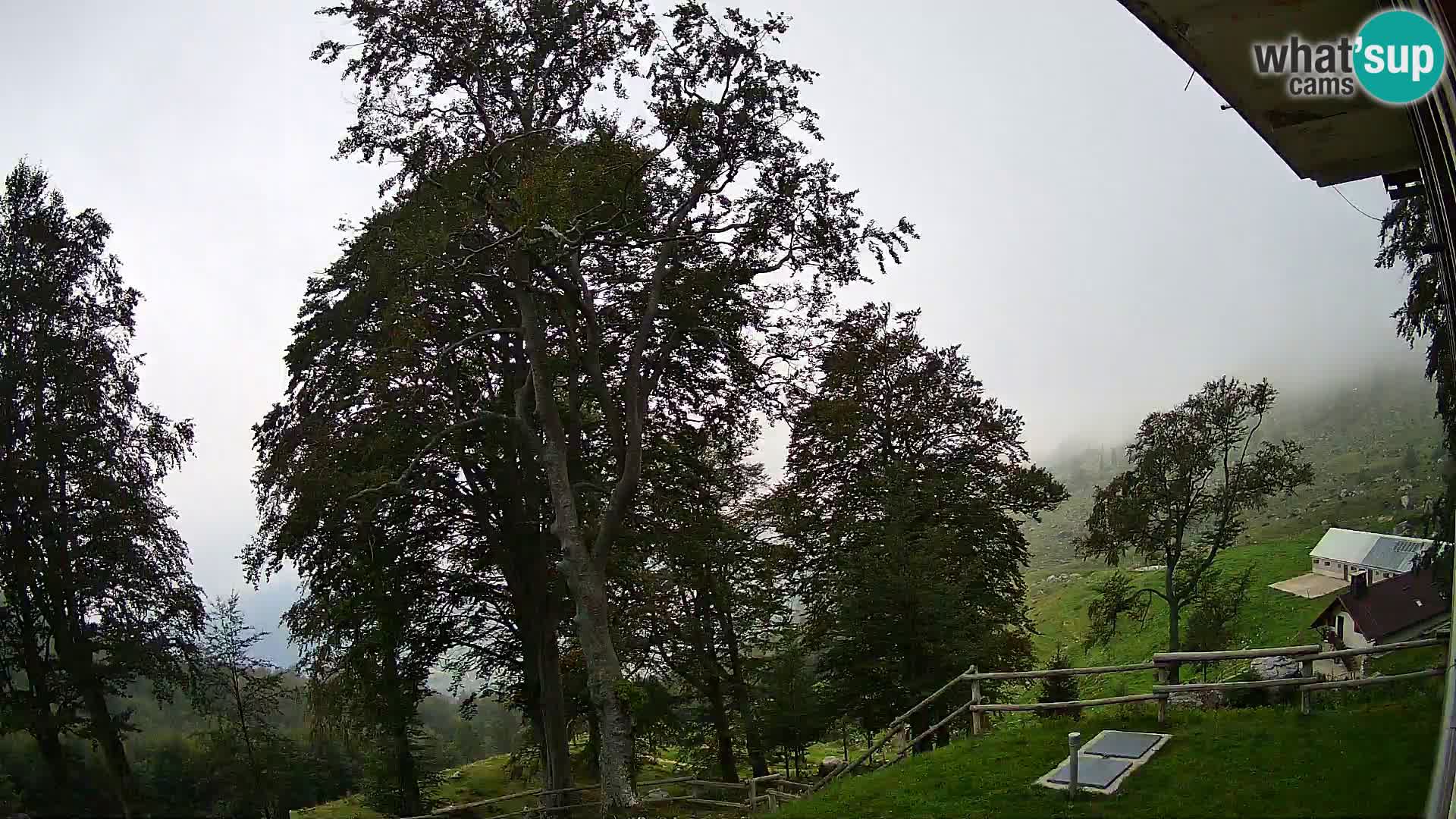 Baita di montagna Planina Razor webcam (1315) | vista su Tolminski Migovec