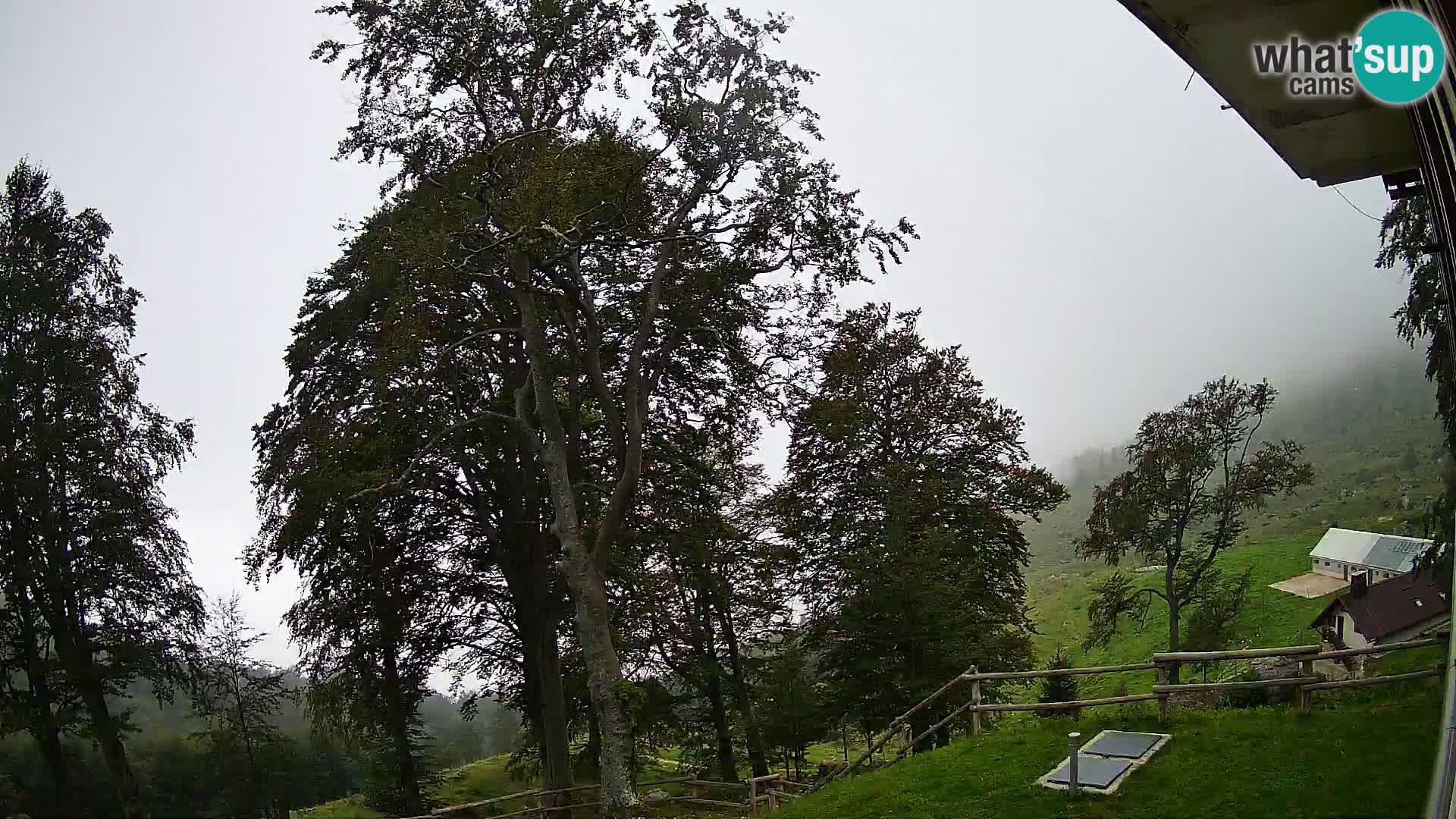 Koča na Planini Razor spletna kamera (1315) | Pogled na Tolminski Migovec